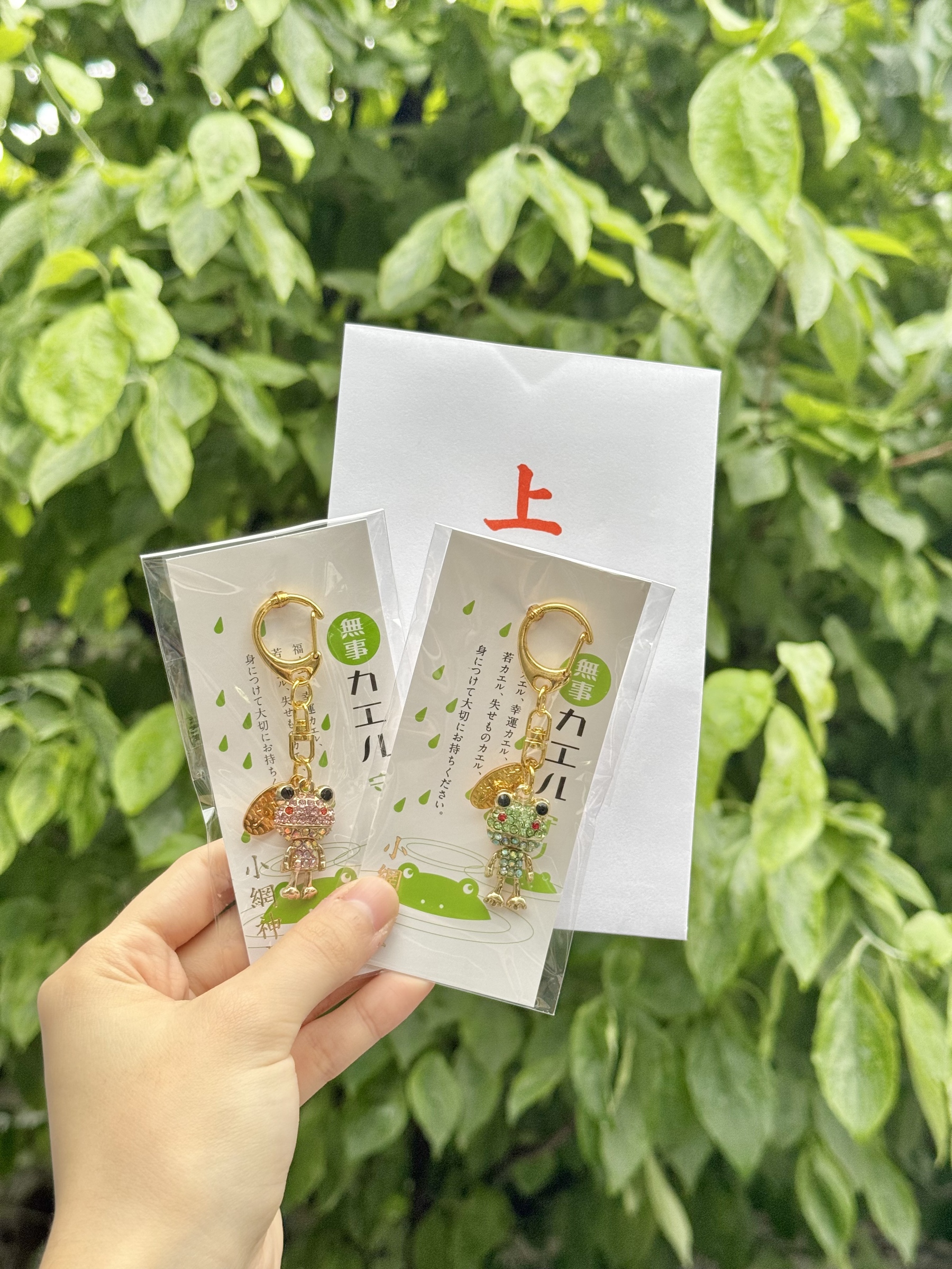 a246584d7ba260b8b0d4749e57fc5f05