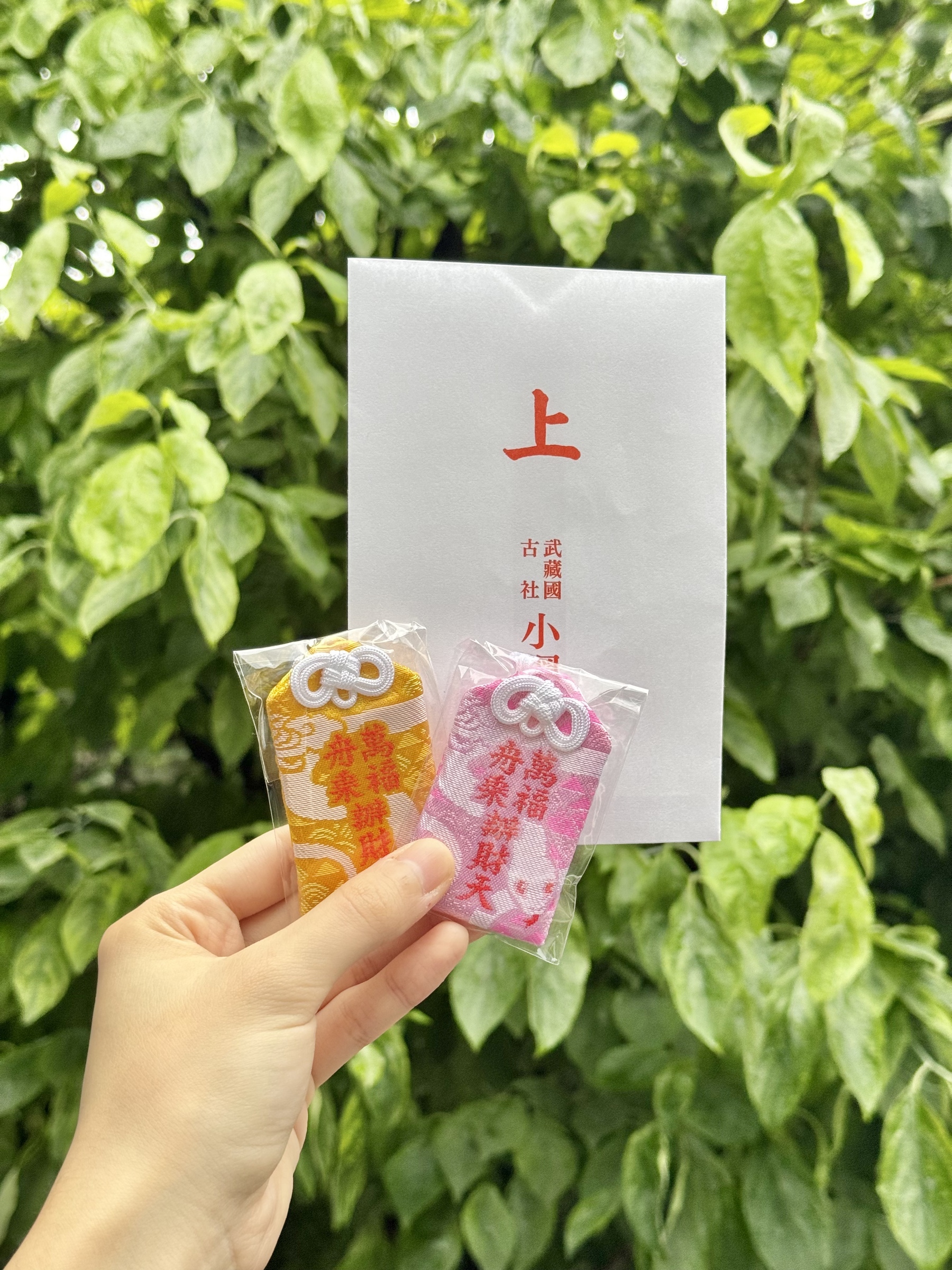 bca4c834e04029dc4a180d1f780c6603