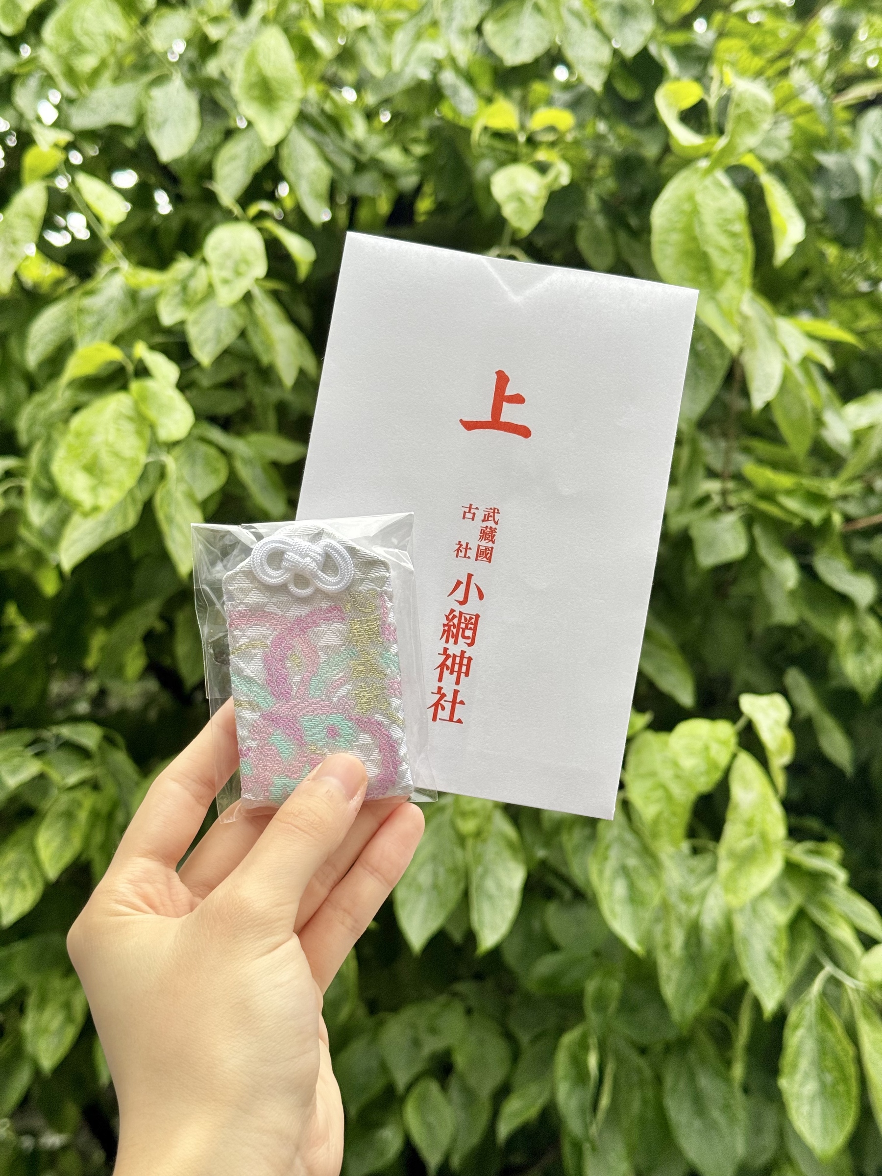 2ee3b95e238a7a49309f08b728202008