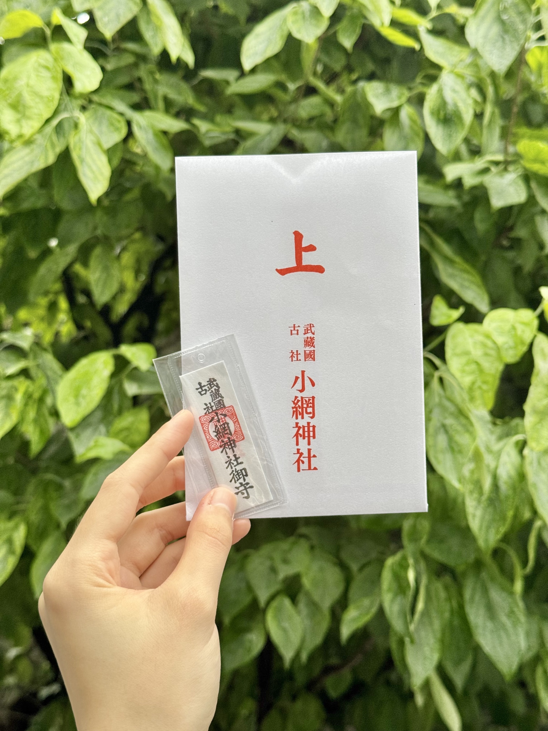 58ab1344a5c5a702512fbc231a3b07dc