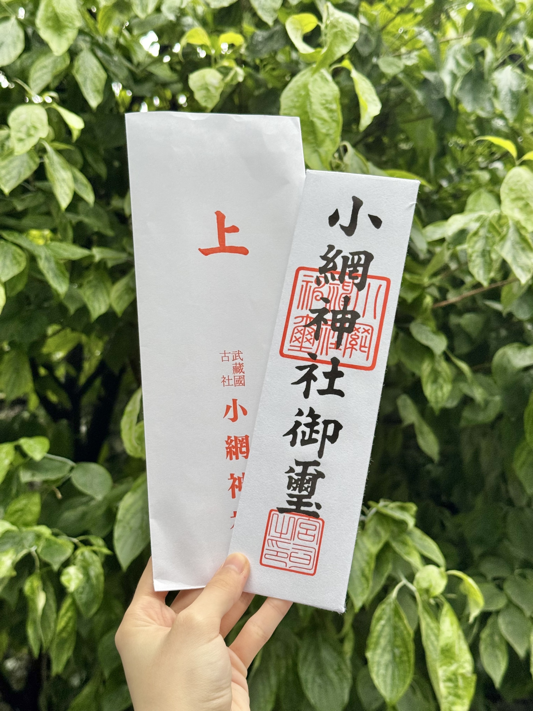 2f5b5f3e026eab3e7ea1314dafce0d17