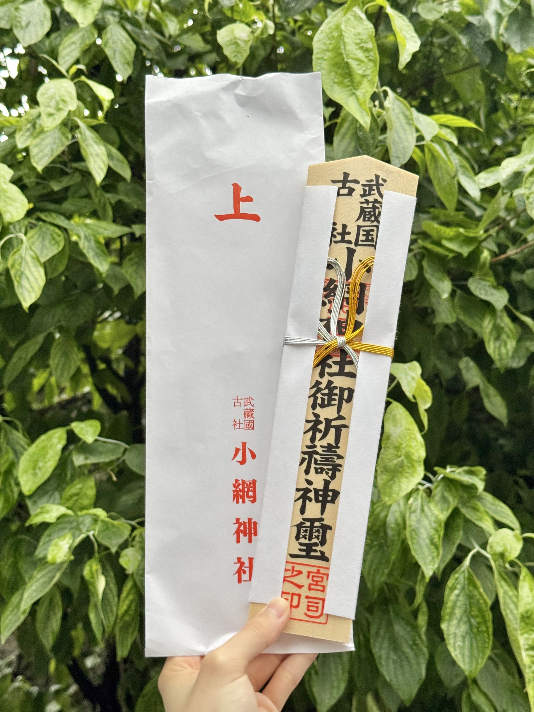 0e76cd06b7492c29196d5a75106529be