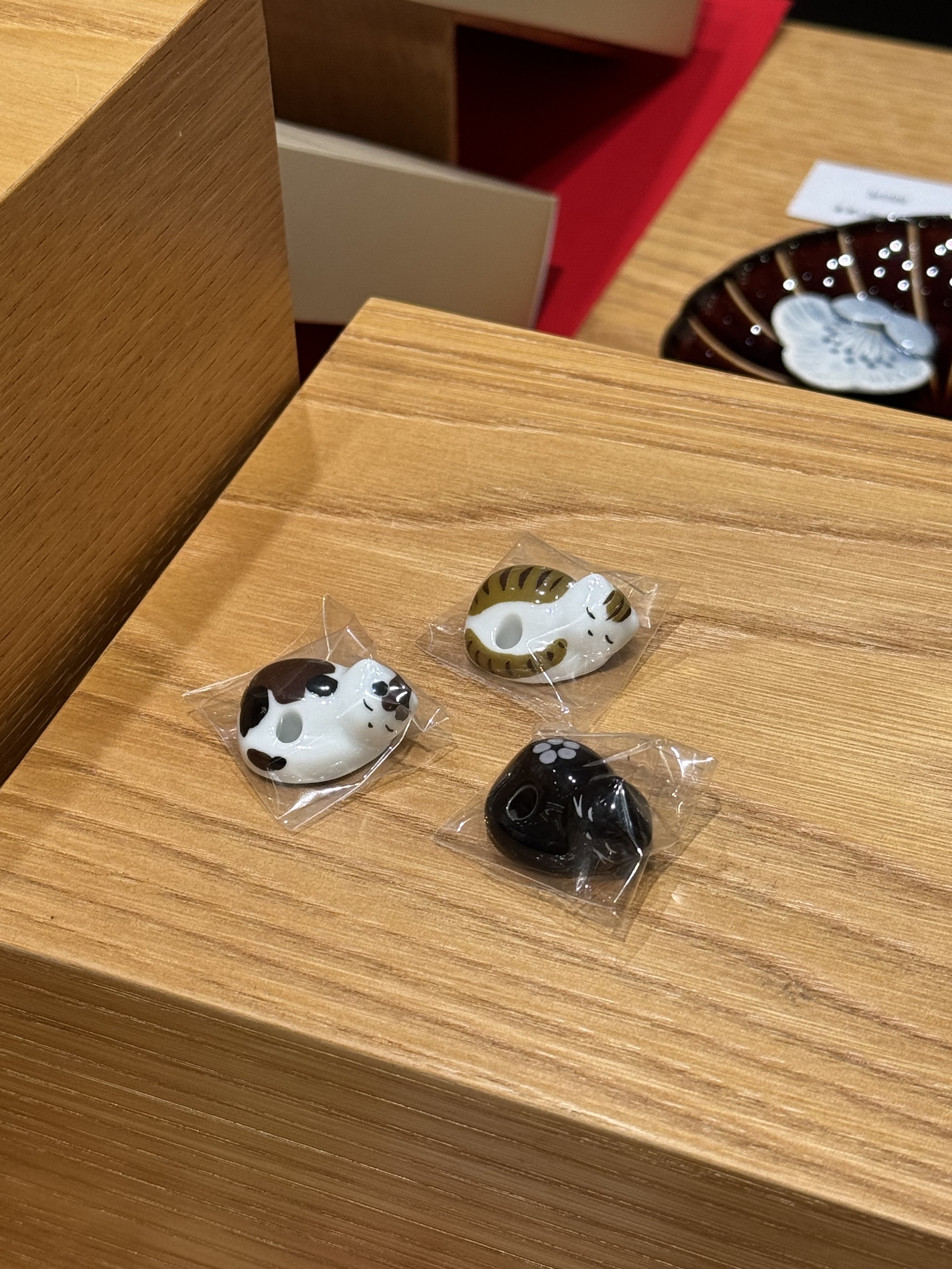 image_A5749182-0D9E-434D-9E1E-87798466AB6A_1768711531