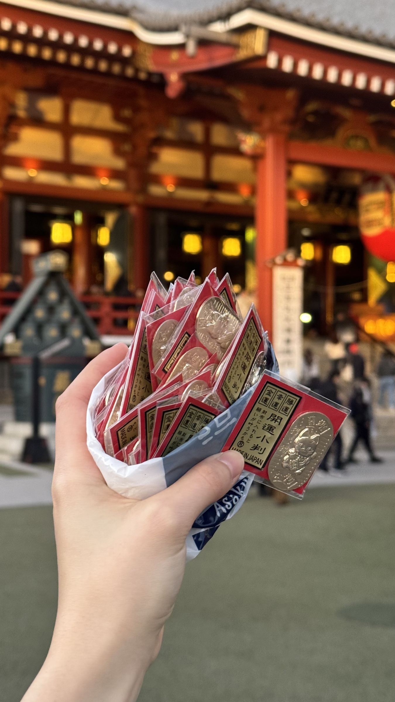 image_0112EEAD-073A-4026-B7F1-158CFE6FB2A9_1769069458