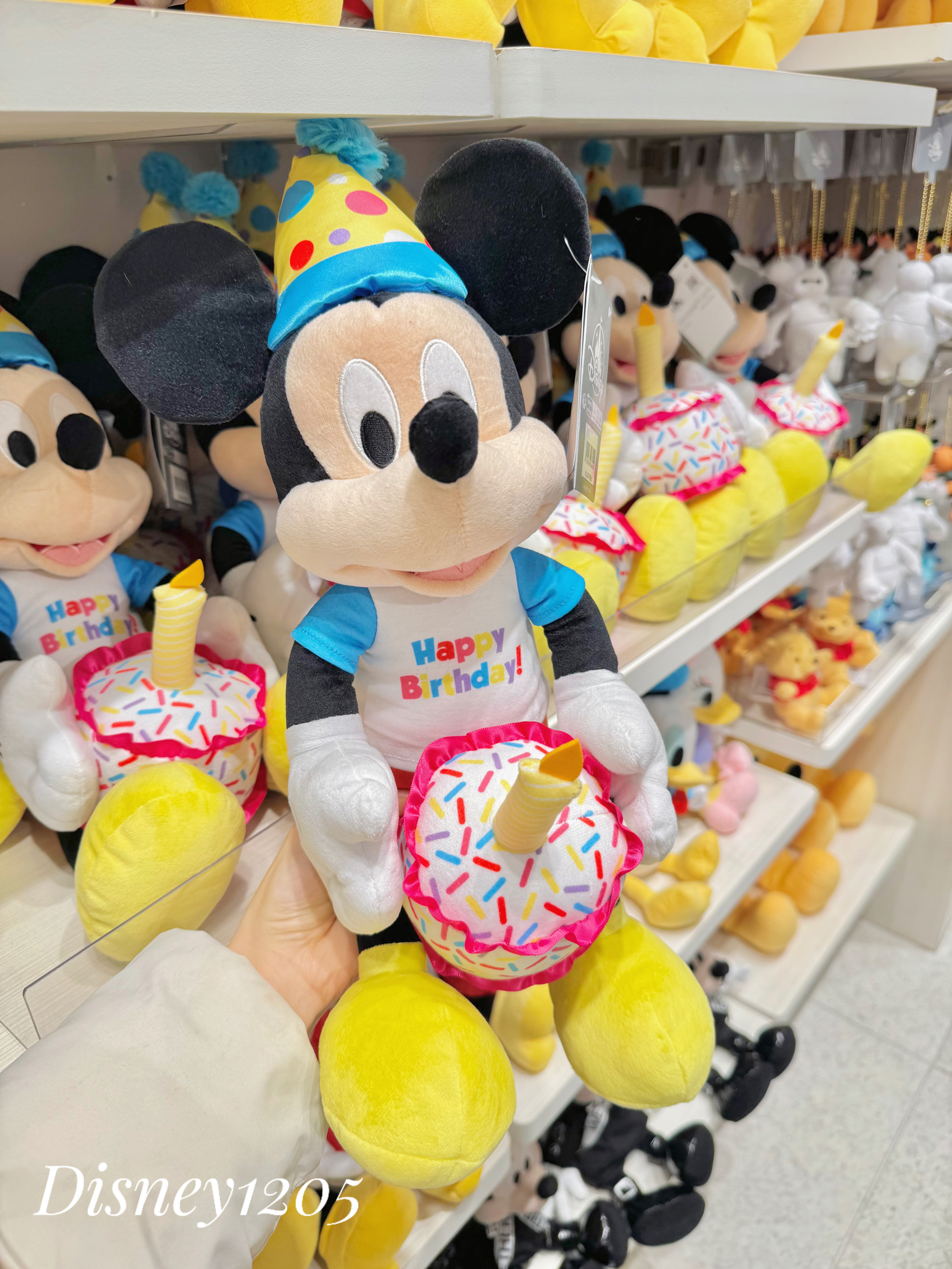 image_FB085F0F-3D2A-45F7-A39A-6F794D5E89CE_1769071994