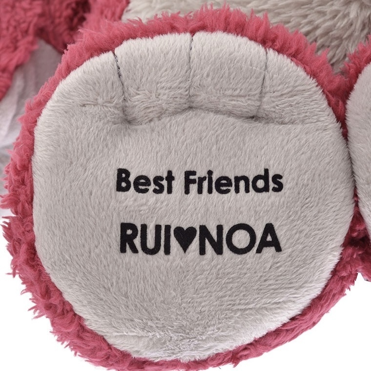 image_90576F2B-49DE-4B78-9B73-A0E5732056F9_1742801910