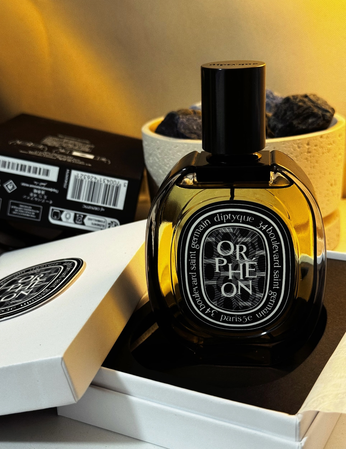 image_3372B660-129C-4A76-BB88-8EB3A889DB92_1767867066