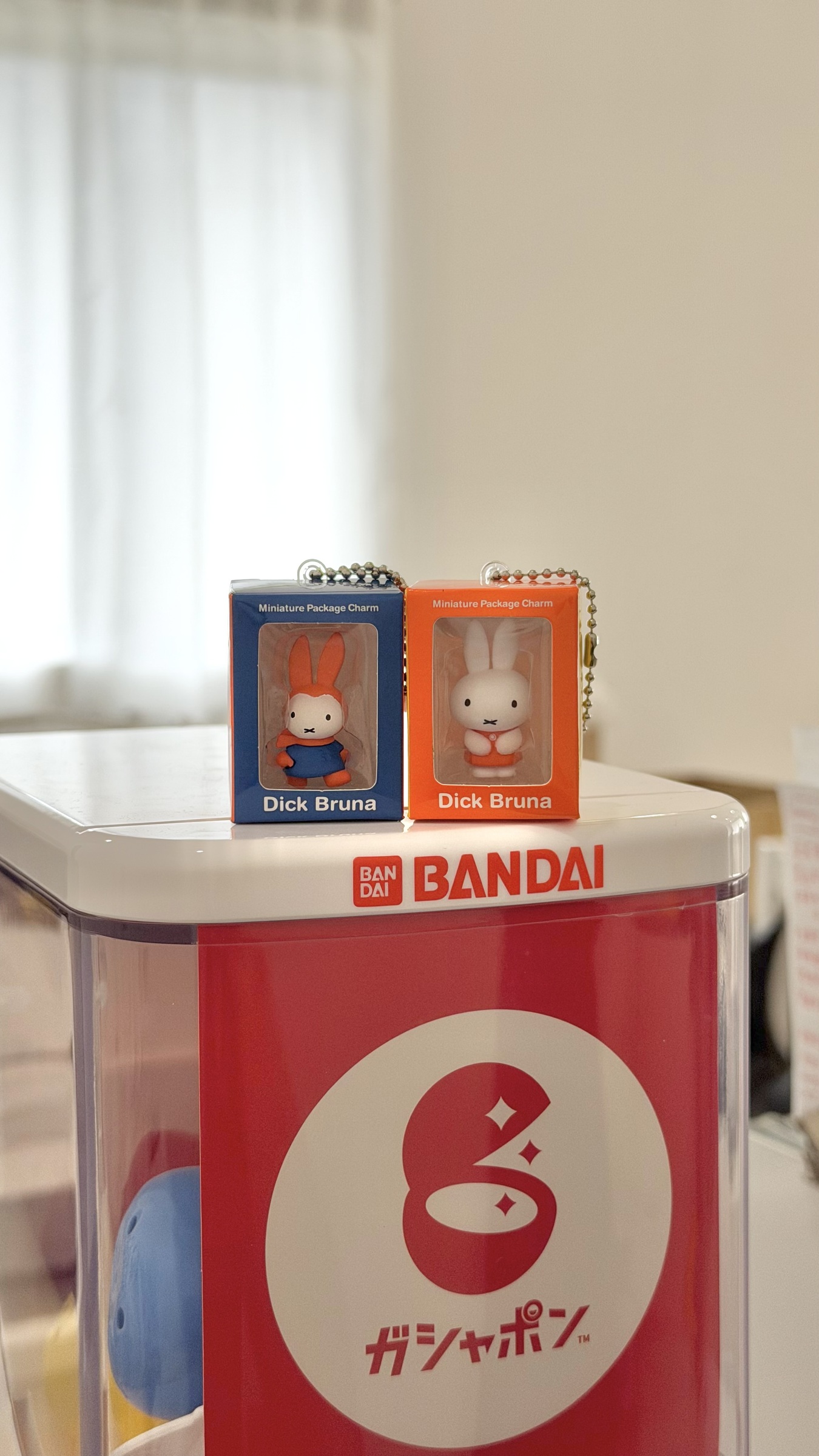 image_CE898282-160D-4474-ACB4-F30D904A65E6_1770886928