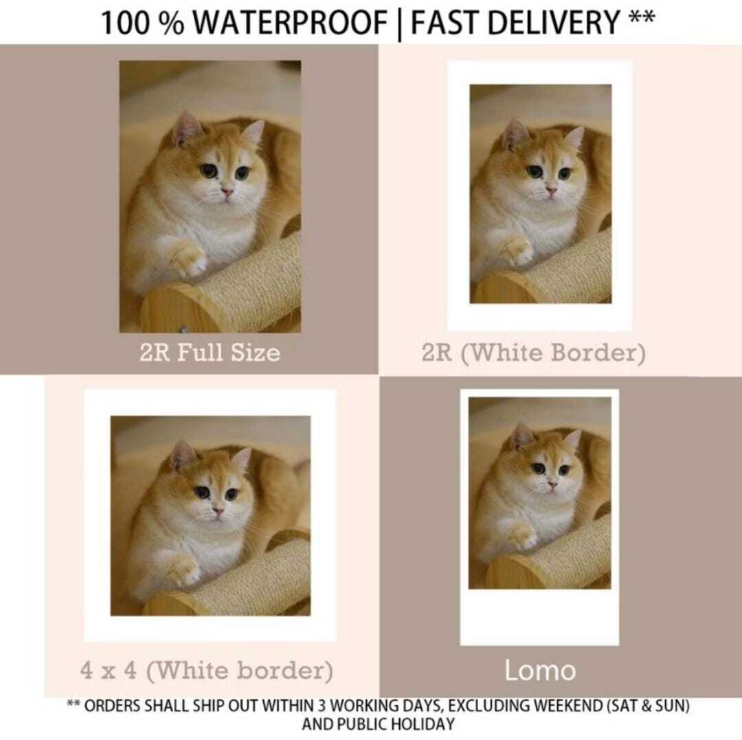 WhatsApp Image 2024-10-14 at 3.06.09 PM