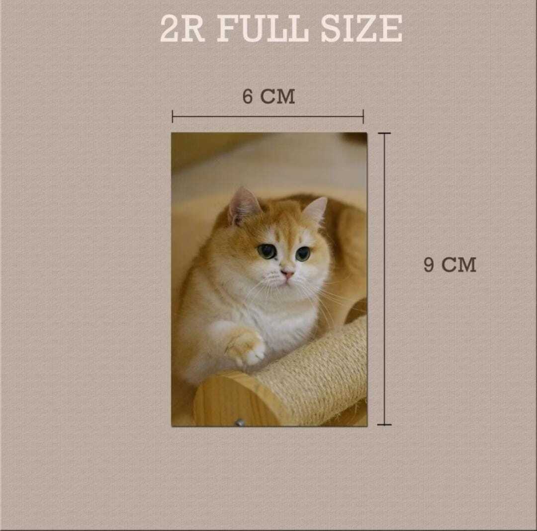 WhatsApp Image 2024-10-14 at 3.06.11 PM