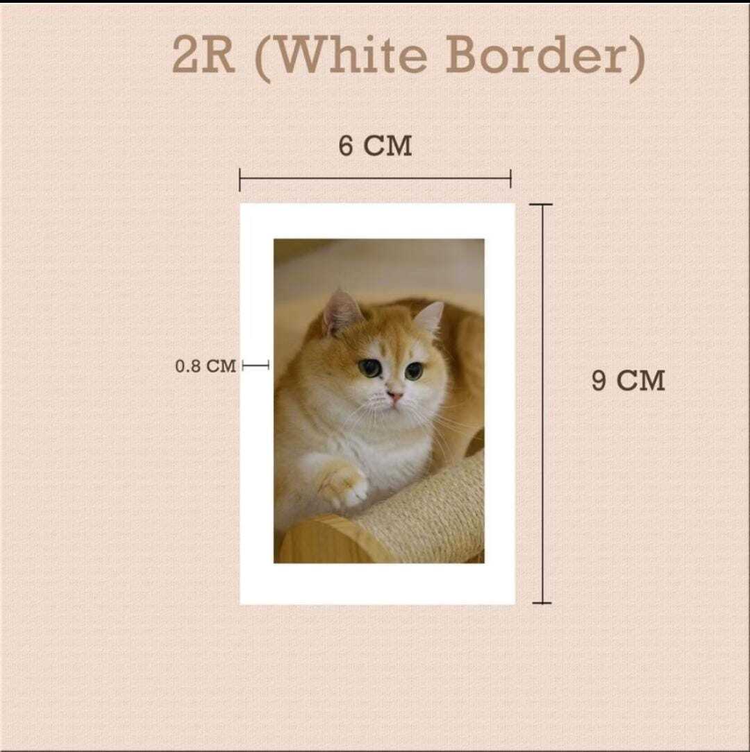 WhatsApp Image 2024-10-14 at 3.06.10 PM (2)