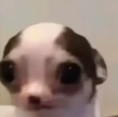7655958