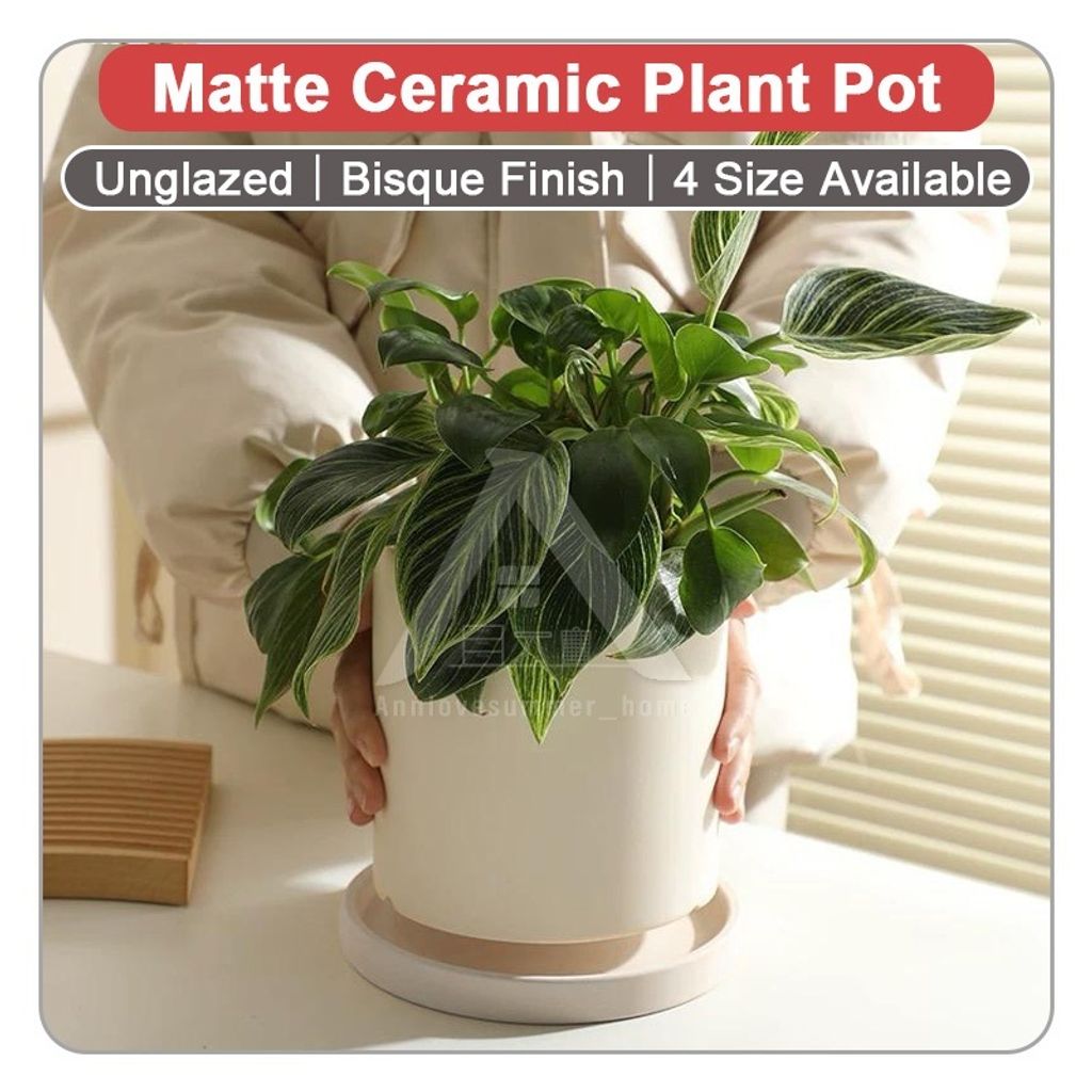 my-11134207-7rash-mdfty80r8gfs29