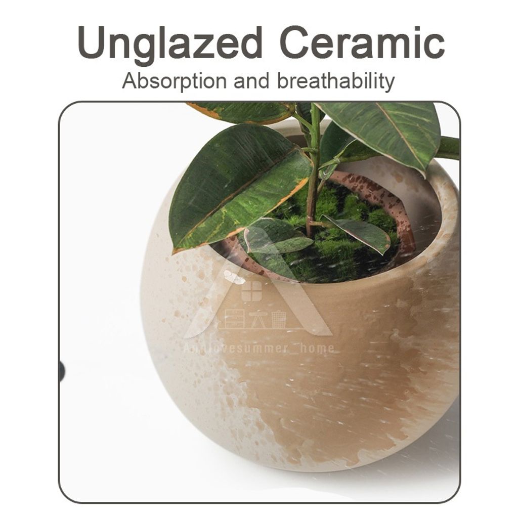 my-11134207-7rash-mdfux0ru0vr334