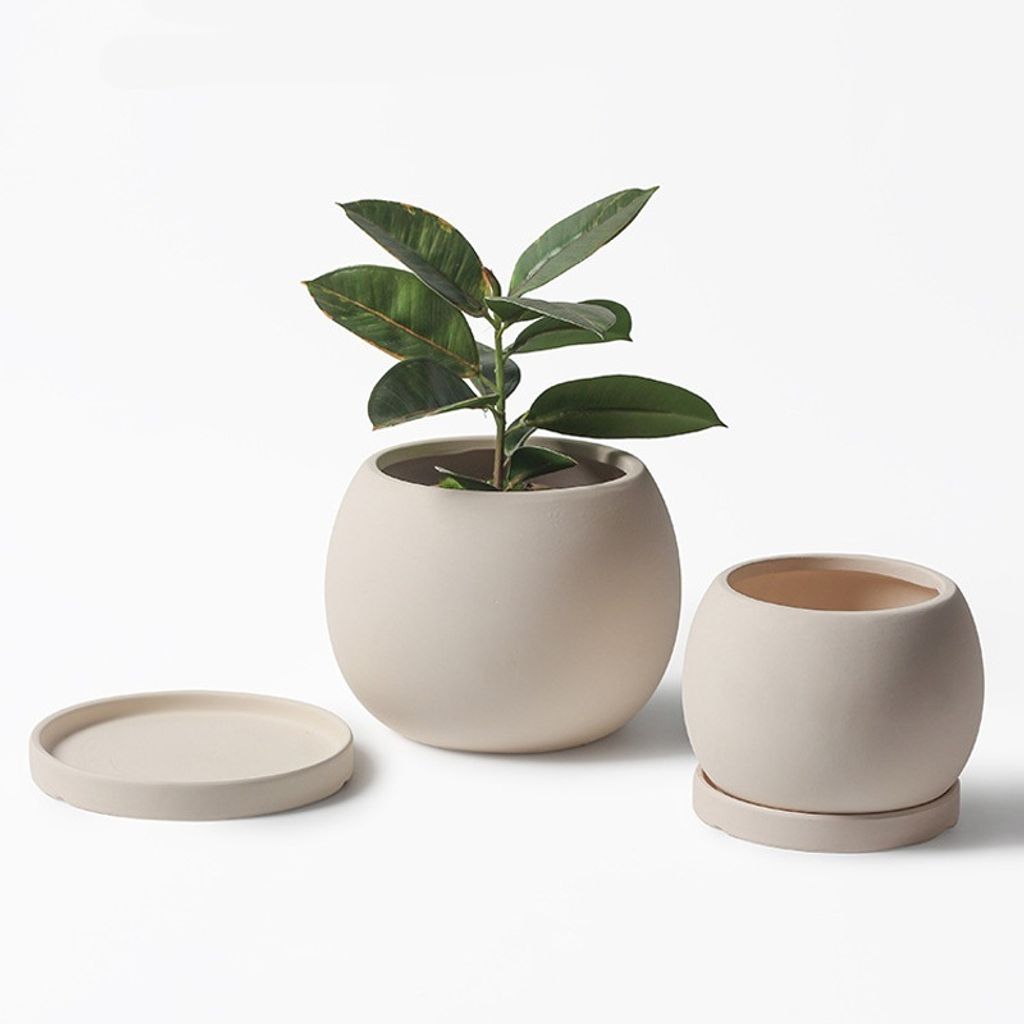 my-11134207-7rasi-mdfux0rtzh6n54