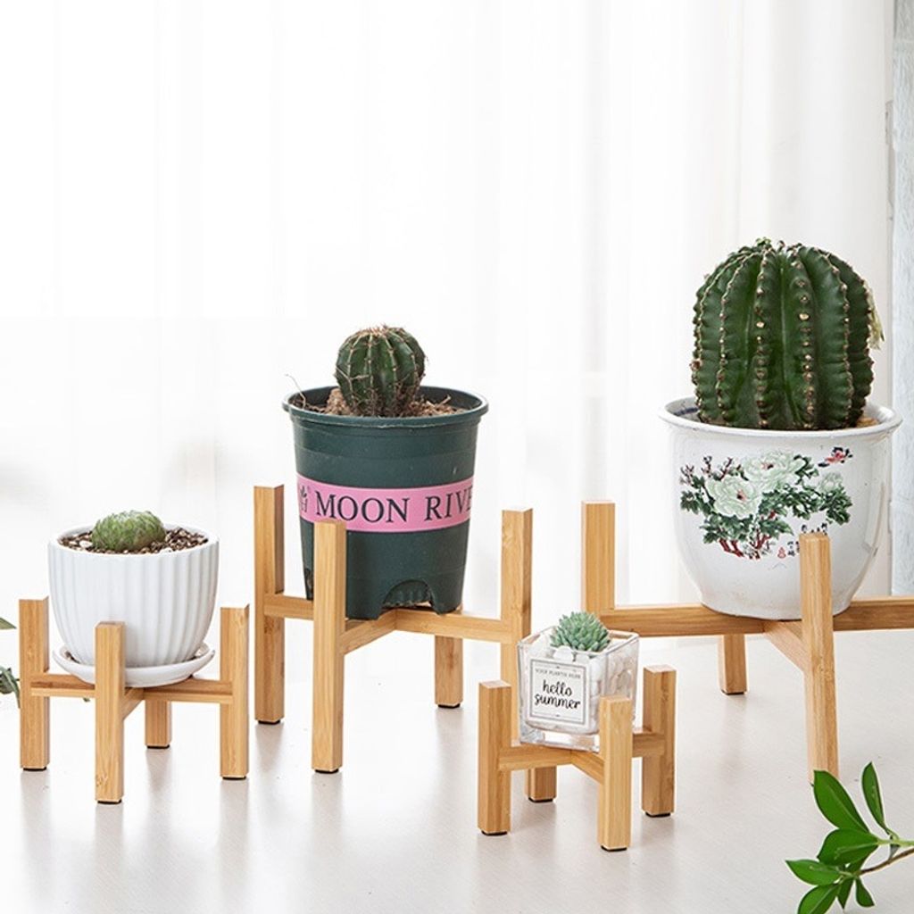 my-11134207-7rasf-mdfw8c4lbyvce9