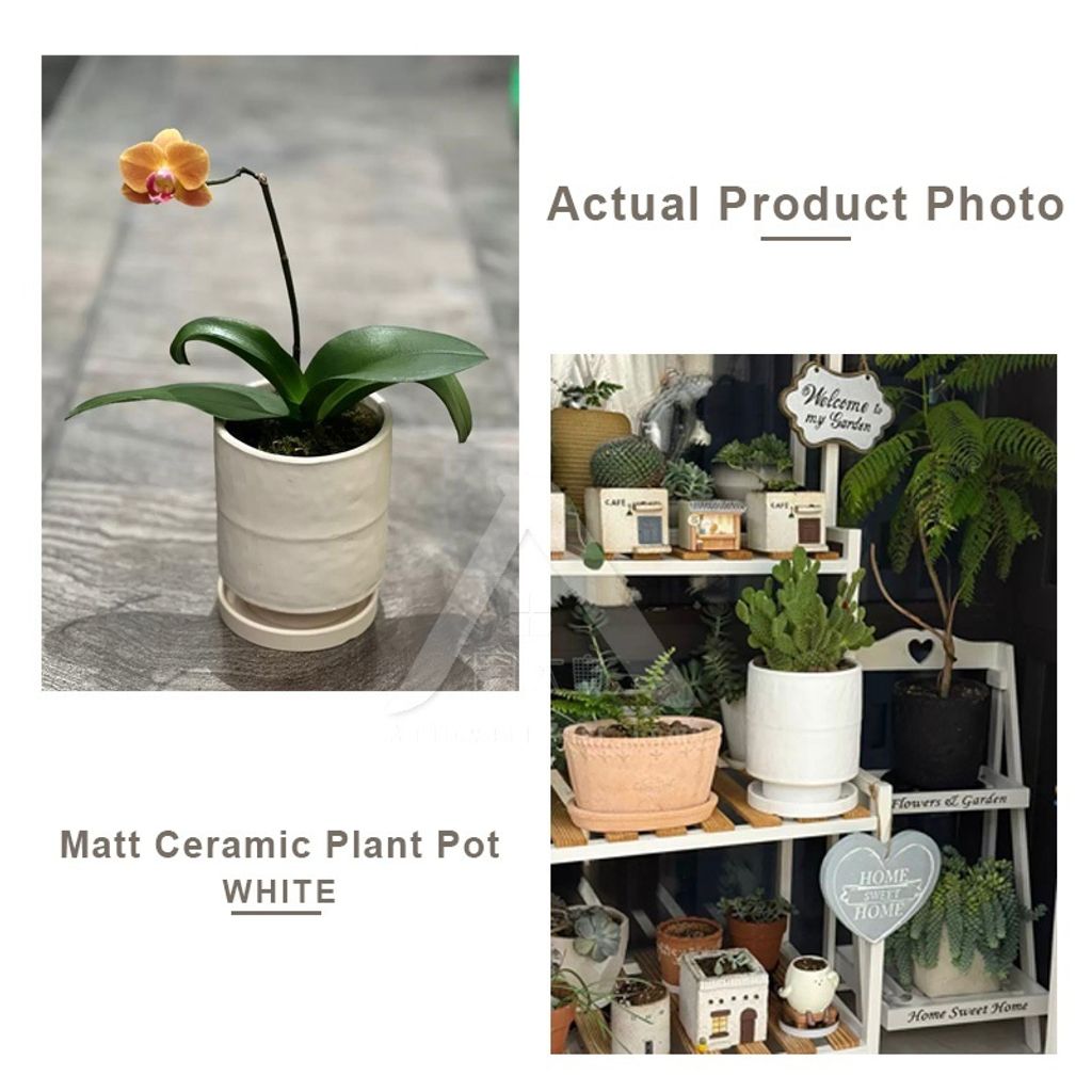 my-11134207-820ld-mhad35prmfplb6