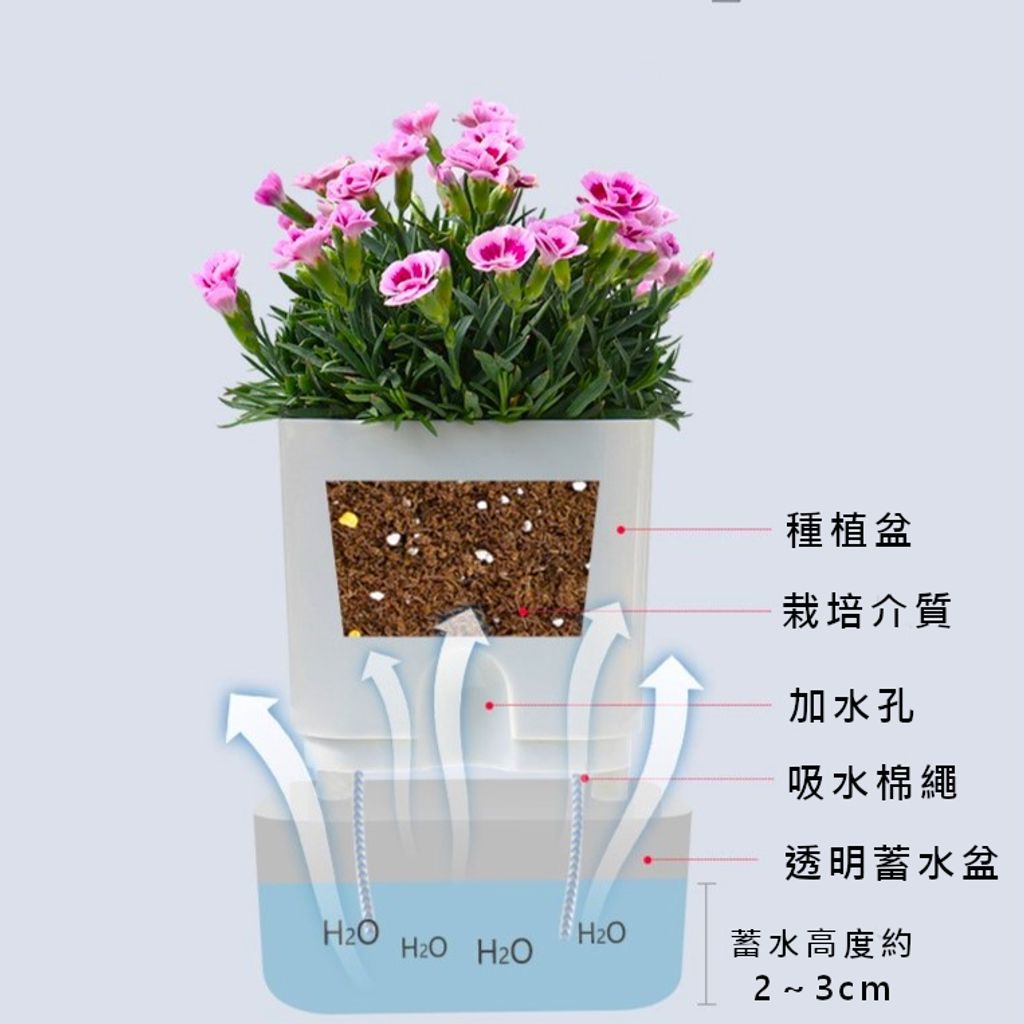 磁吸花器說明三