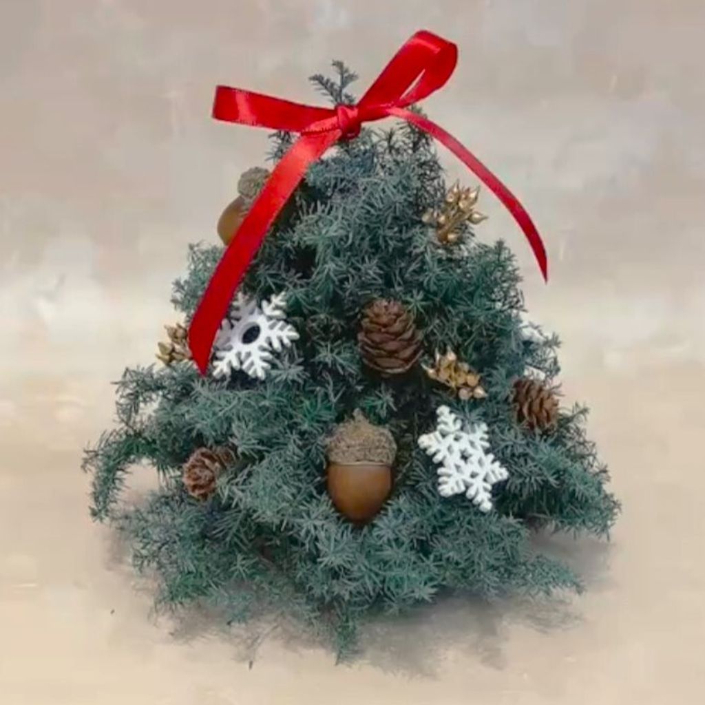 螢幕擷取畫面 2025-11-23 165629