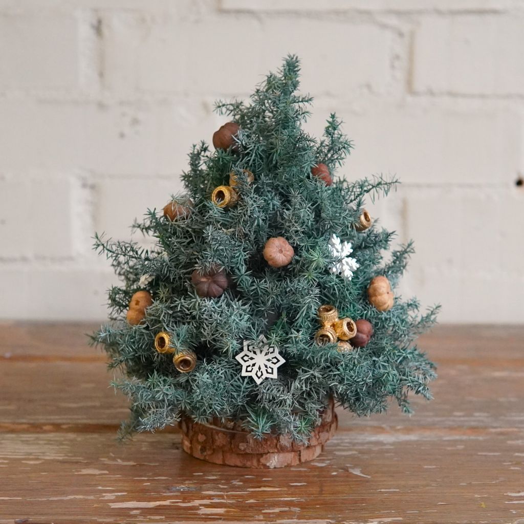 2025迷你聖誕樹