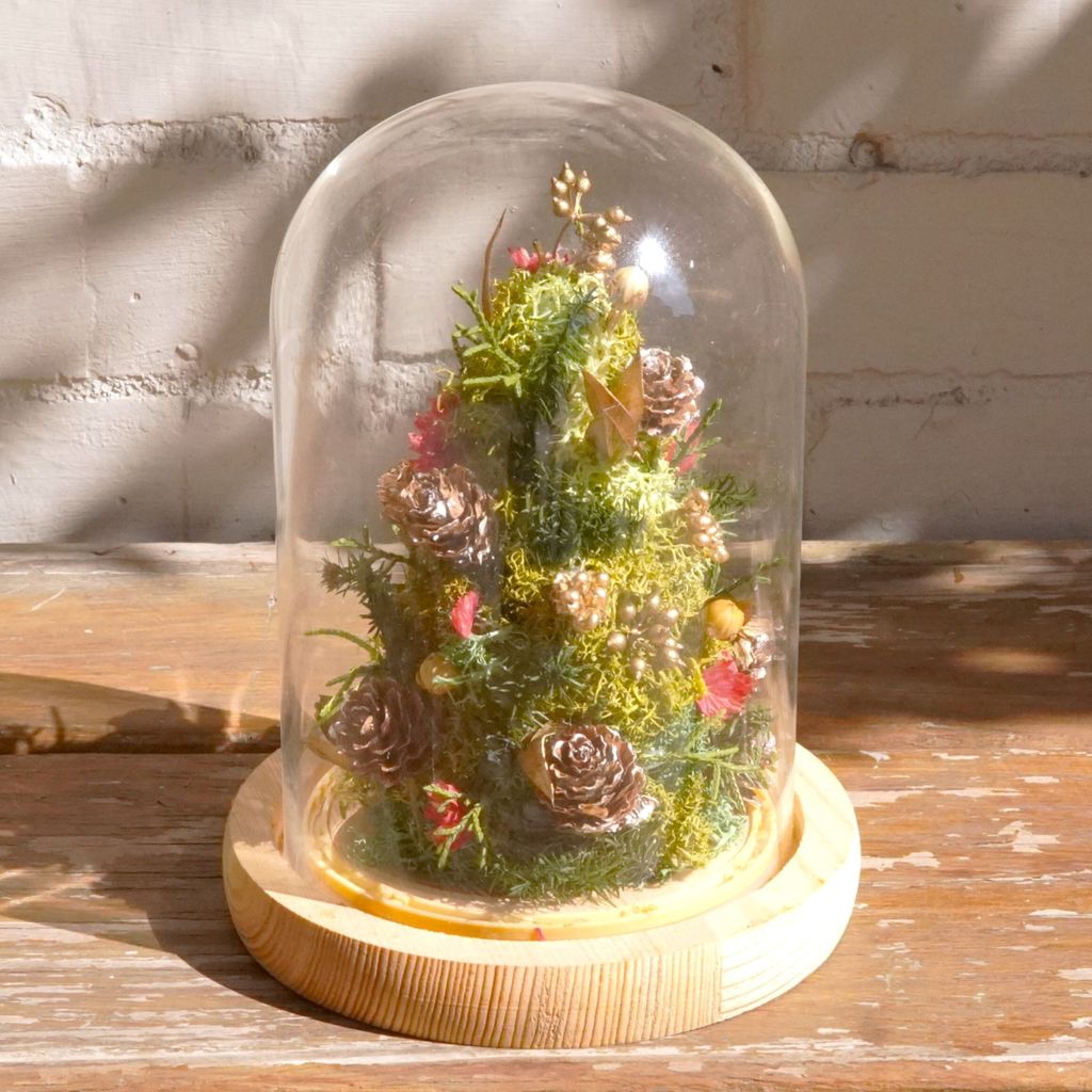 2025聖誕樹玻璃盅淺色底座