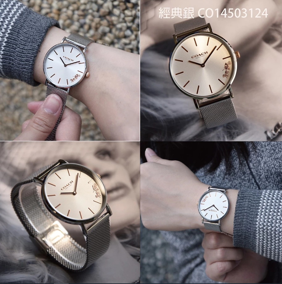 36-3 C.經典銀 14503124