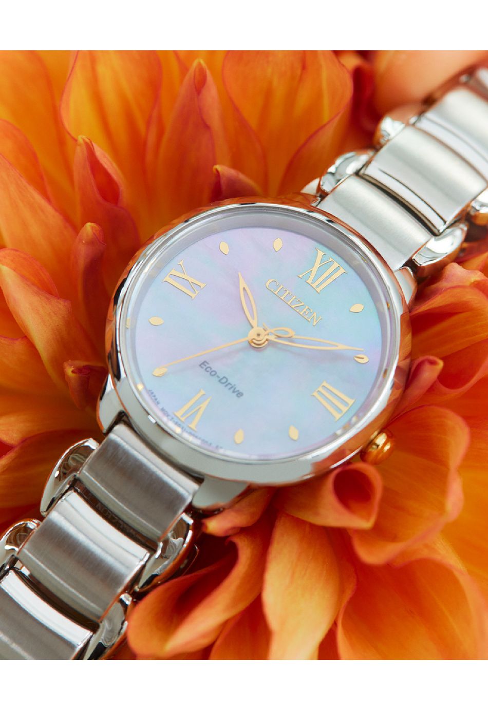 CITIZEN星辰 | L系列 EM0927-87Y | 光動能 優雅時尚腕錶28mm 錶面細節