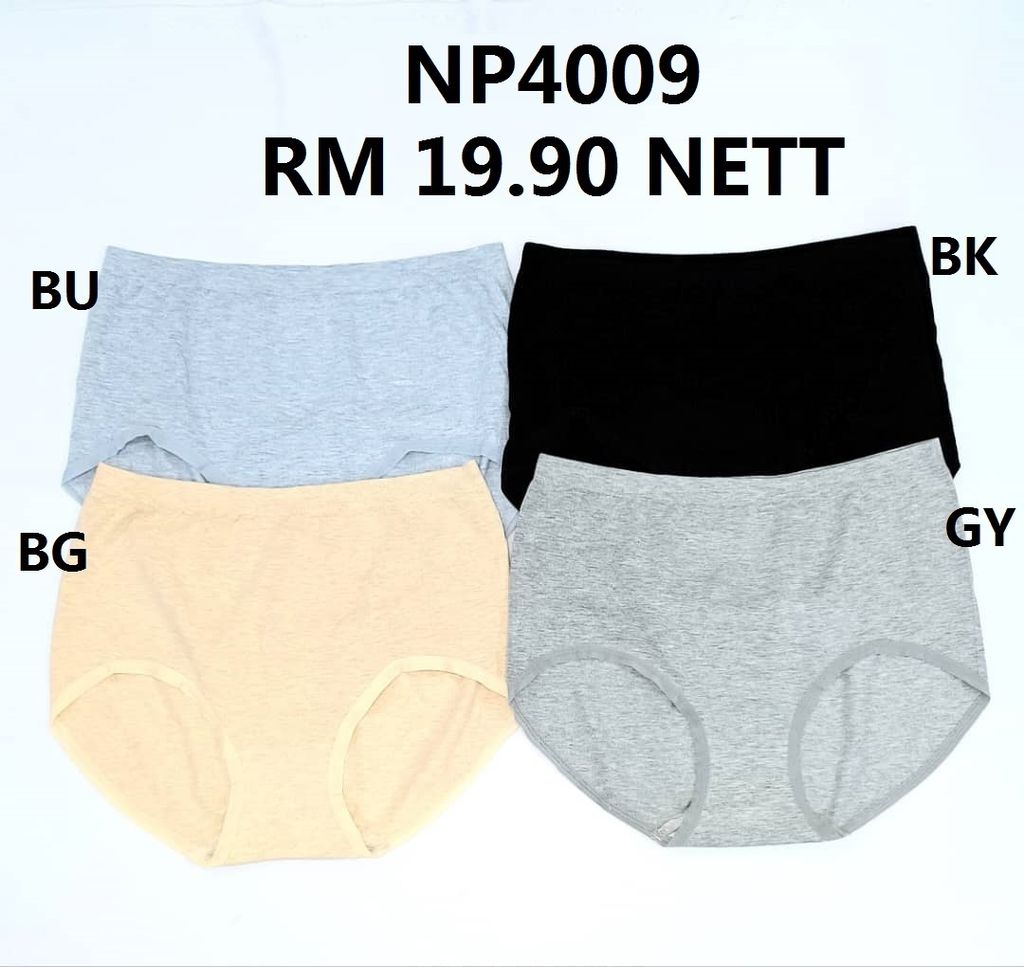 NP4009 (1)