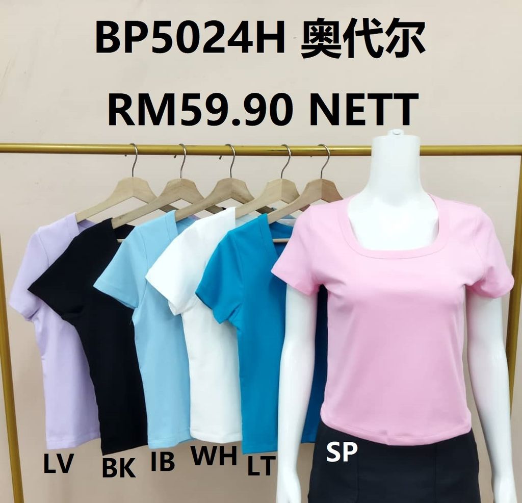 BP5024H