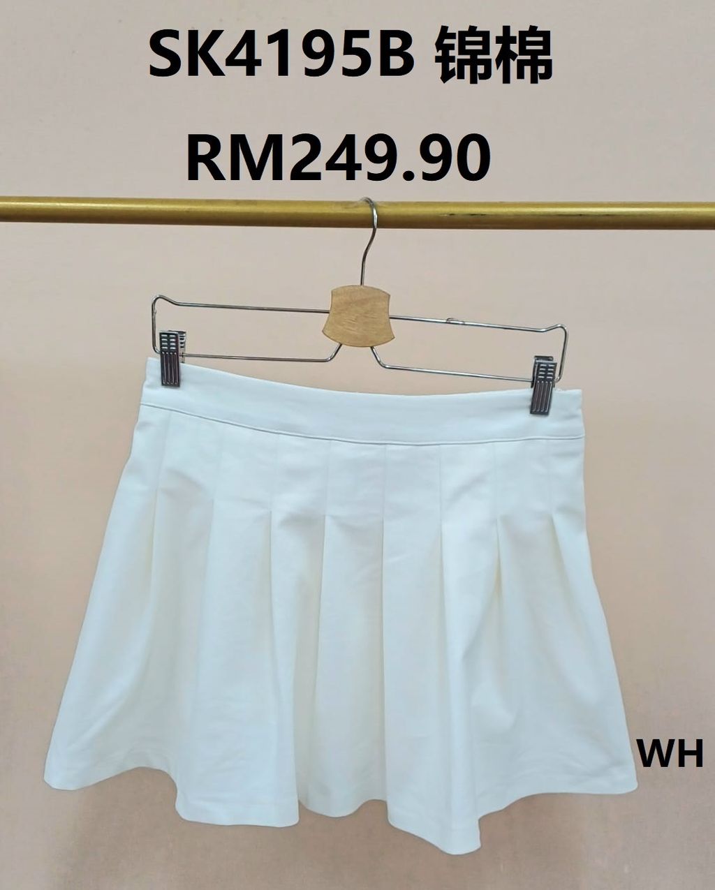 SK4195B (1)
