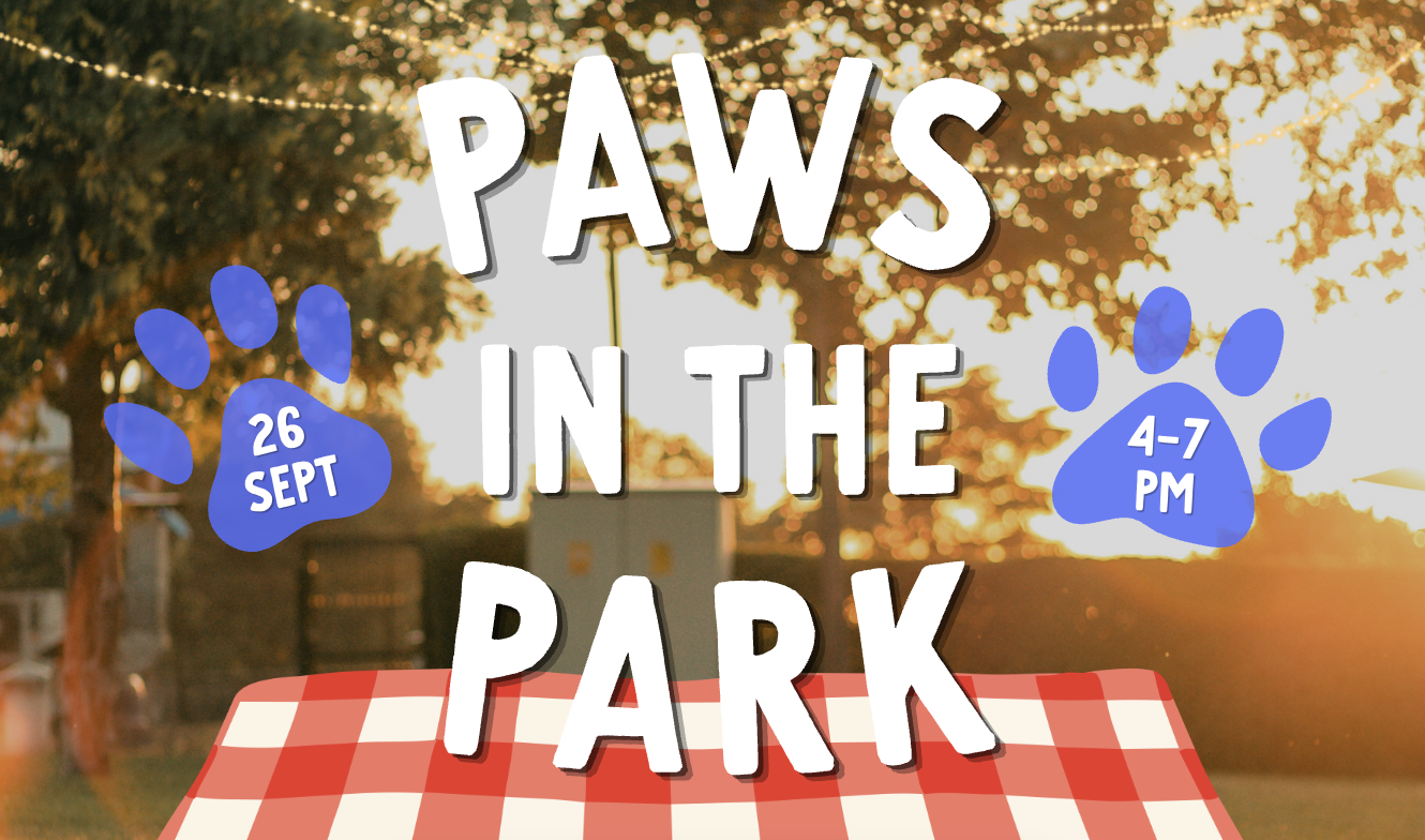 Let's fundraise for PhatCatHaus! | Camp Kitty