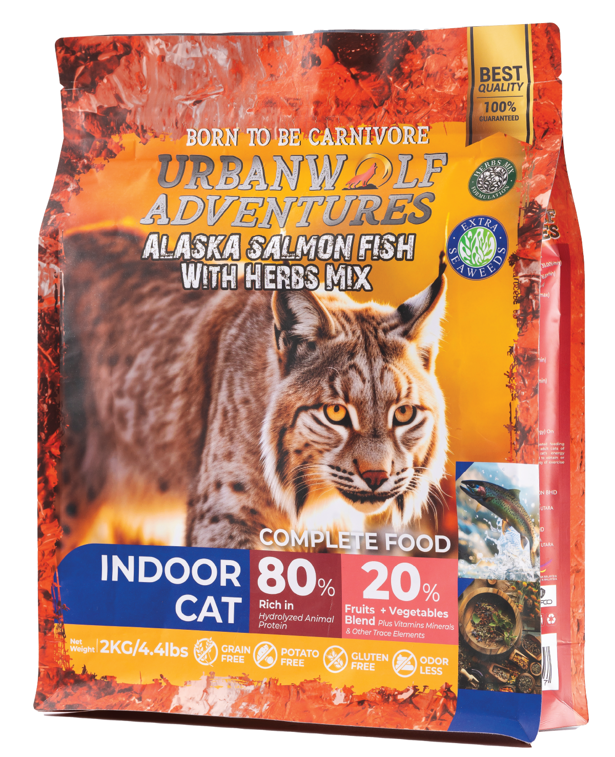 imgi_10_16.Indoor Cat