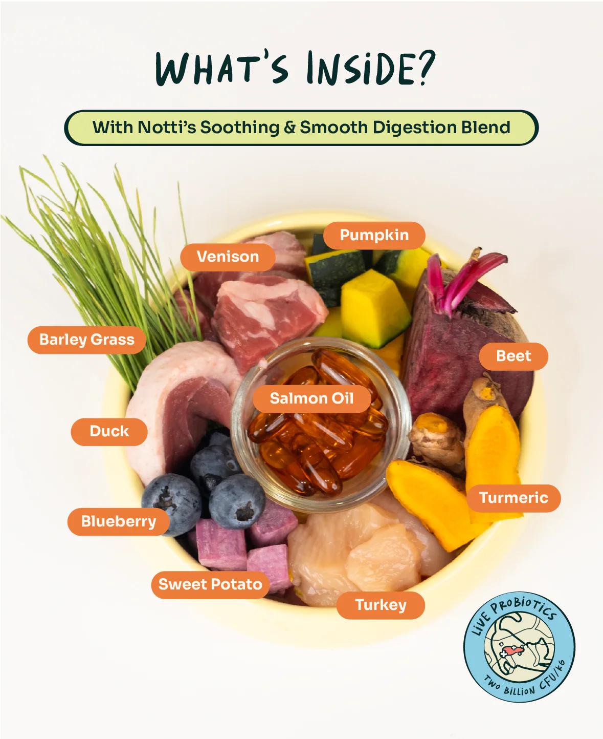 imgi_1_Infographic-05