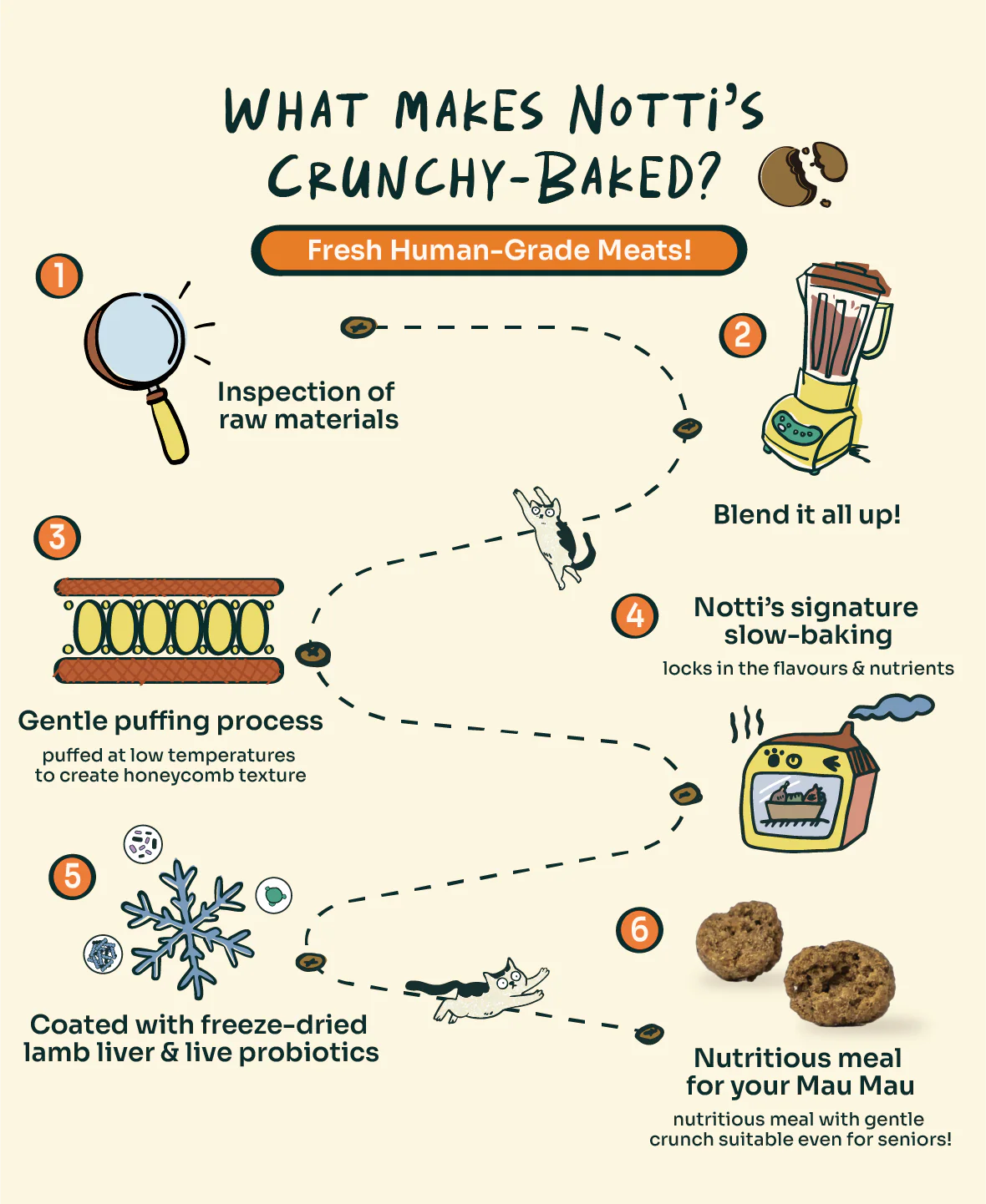 imgi_2_Infographic-04