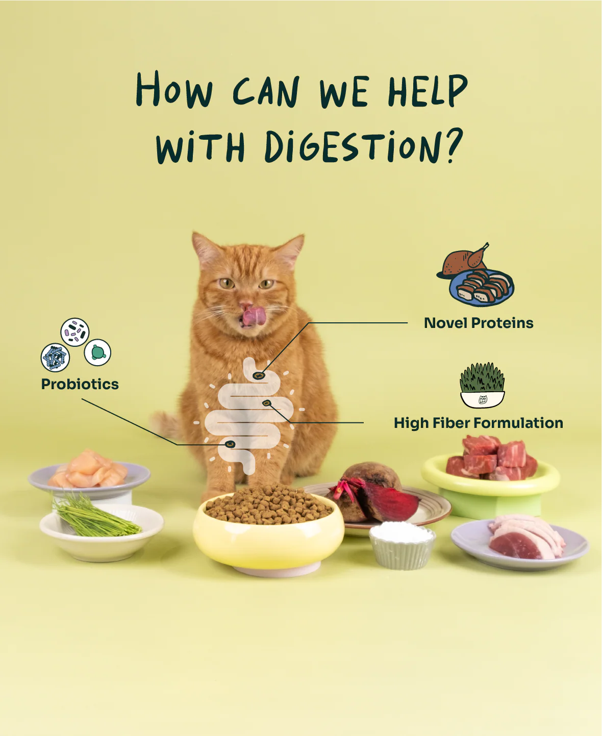 imgi_134_Infographic-07
