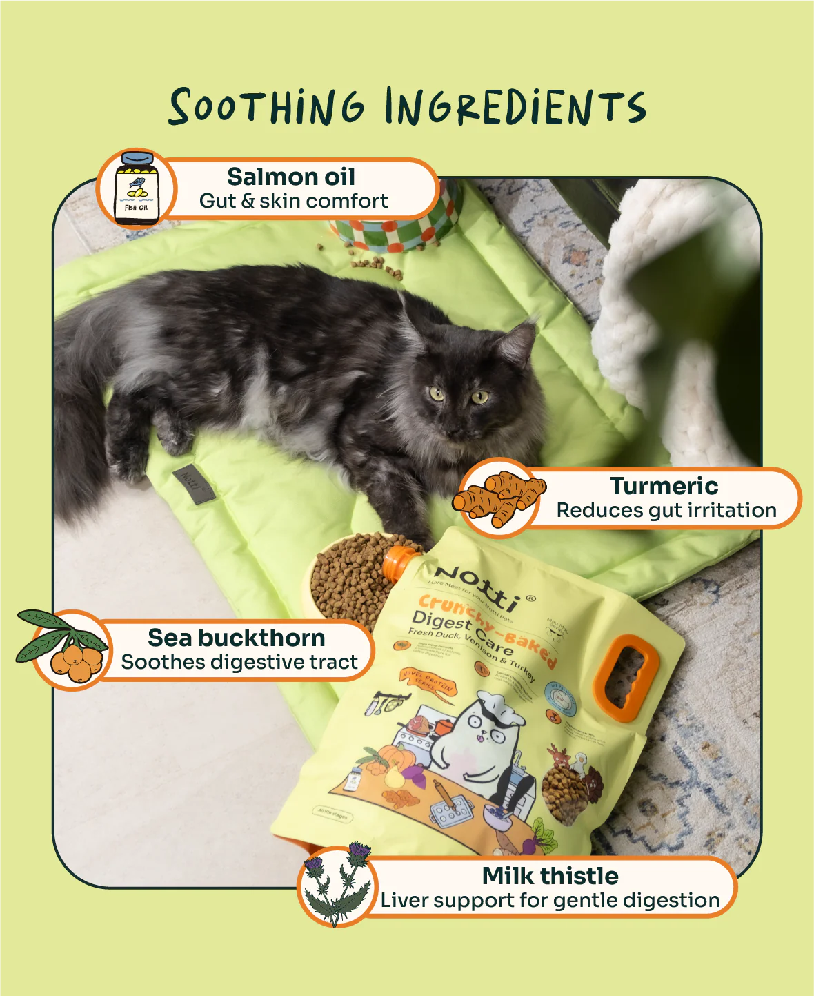 imgi_135_Infographic-08