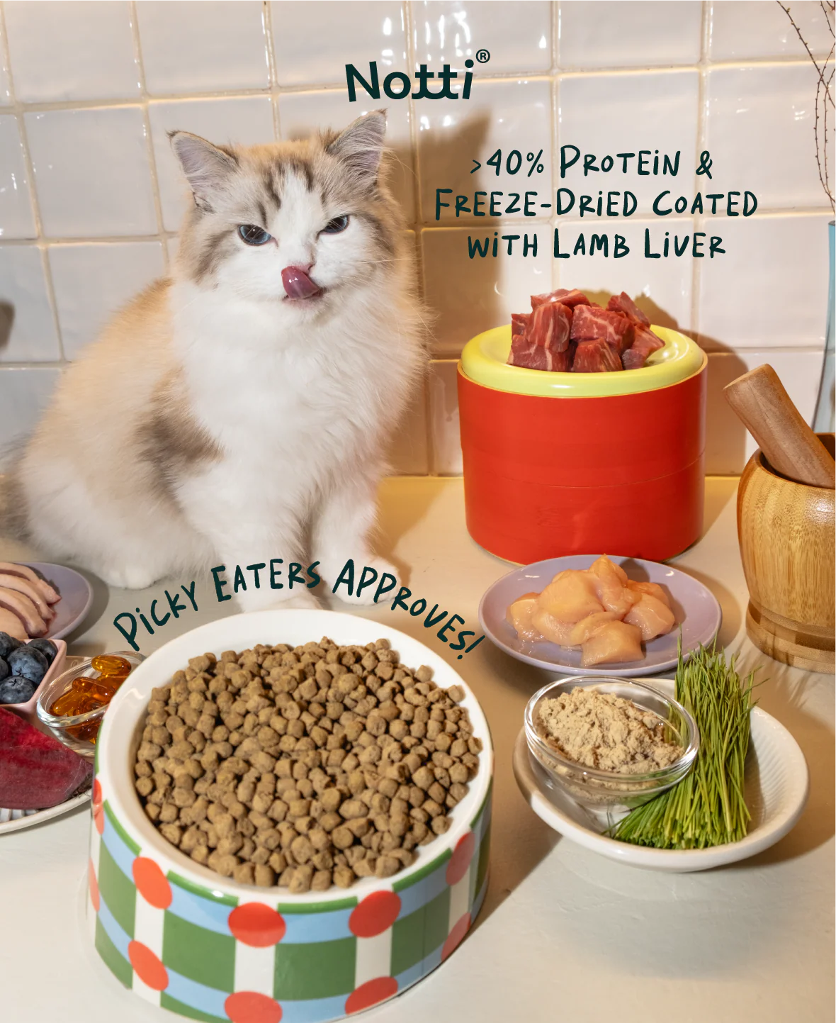 imgi_139_Infographic-11