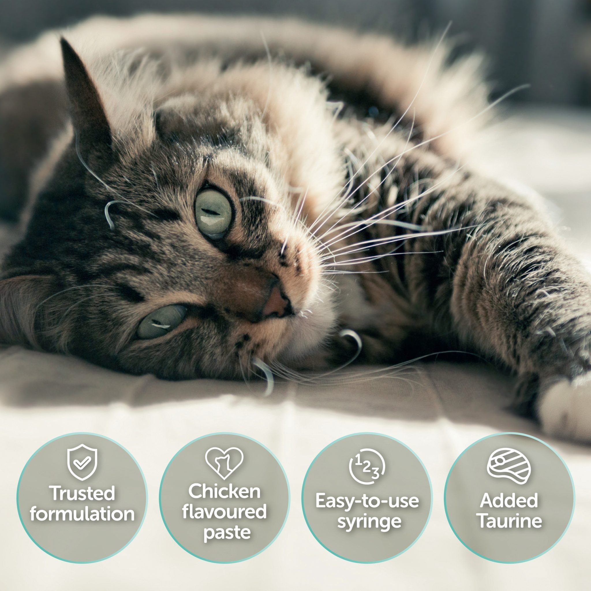 imgi_12_1199_Protexin_Amazon_Prime_Day_2000x2000px_v1_Pro-Kolin-Advanced-Syringe-for-Cats-15ml-Image-3-1-1-scaled