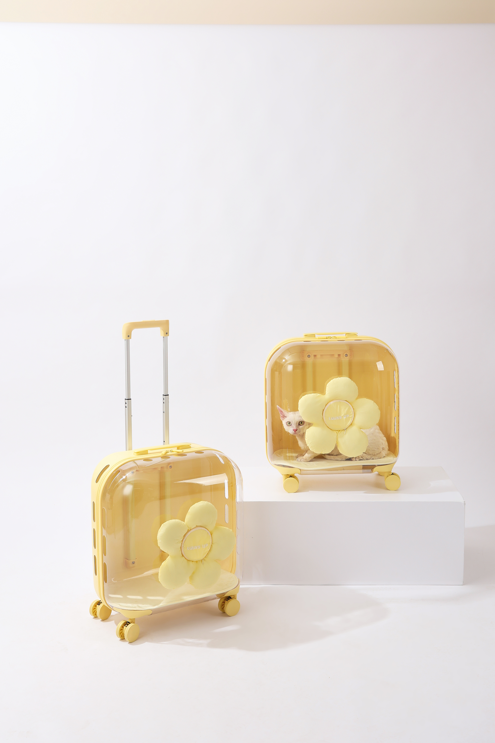 14.LUUKS UP_722960G_Carrier_Flora roller pet travel bag_Yellow_indoor with cat_VER_CMYK