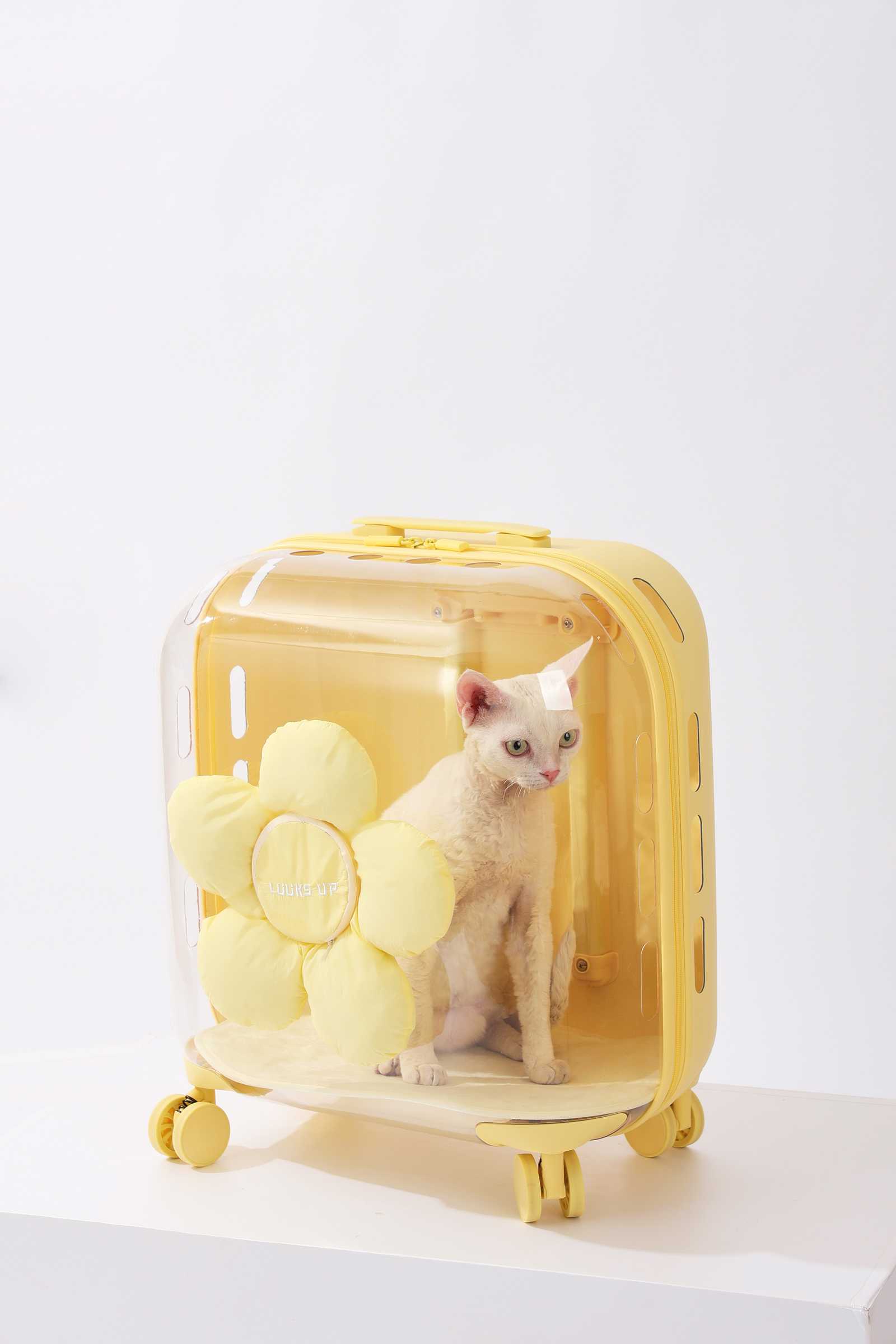 15.LUUKS UP_722960G_Carrier_Flora roller pet travel bag_Yellow_indoor with cat_VER_CMYK