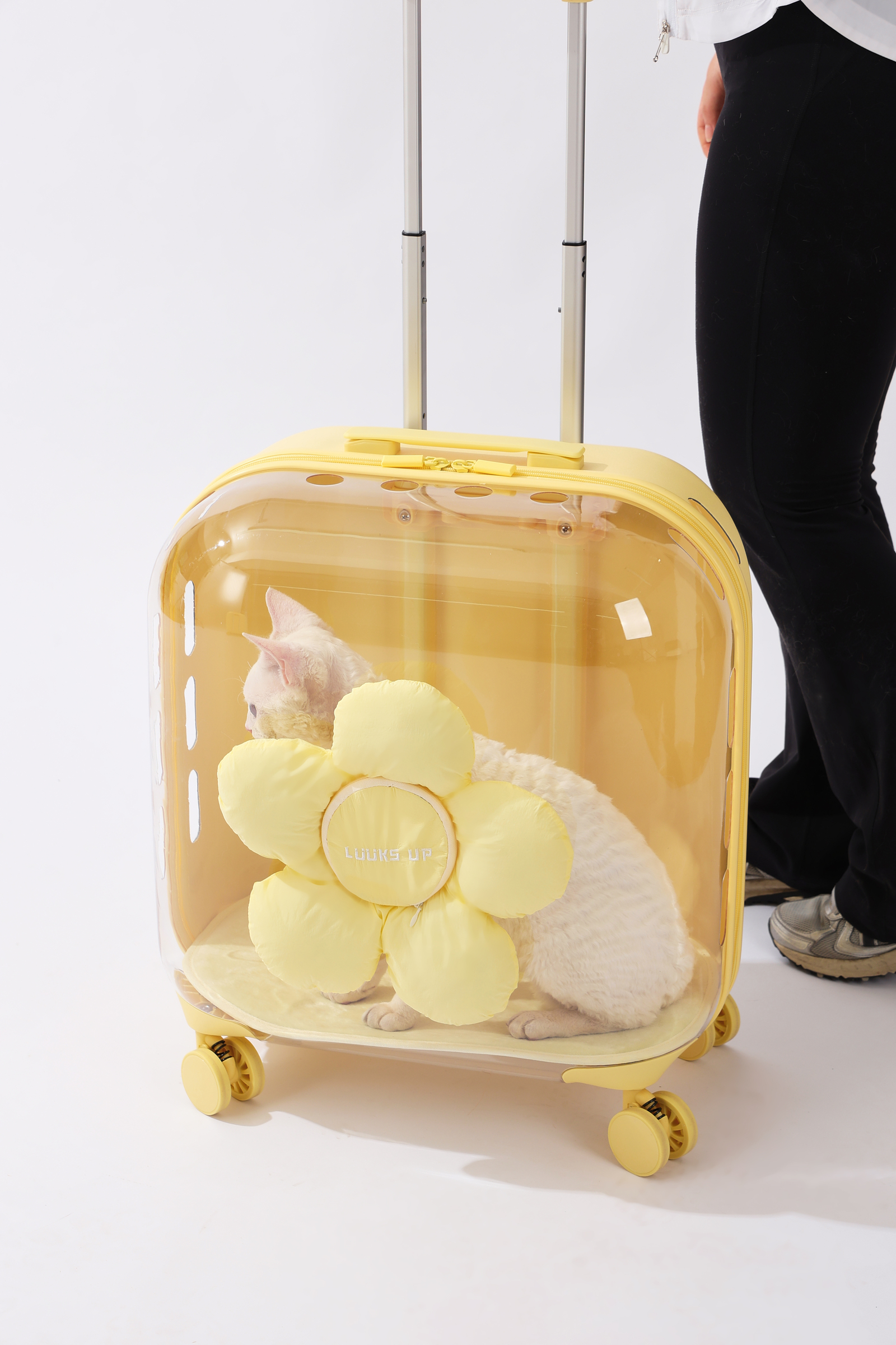 13.LUUKS UP_722960G_Carrier_Flora roller pet travel bag_Yellow_indoor with cat_VER_CMYK