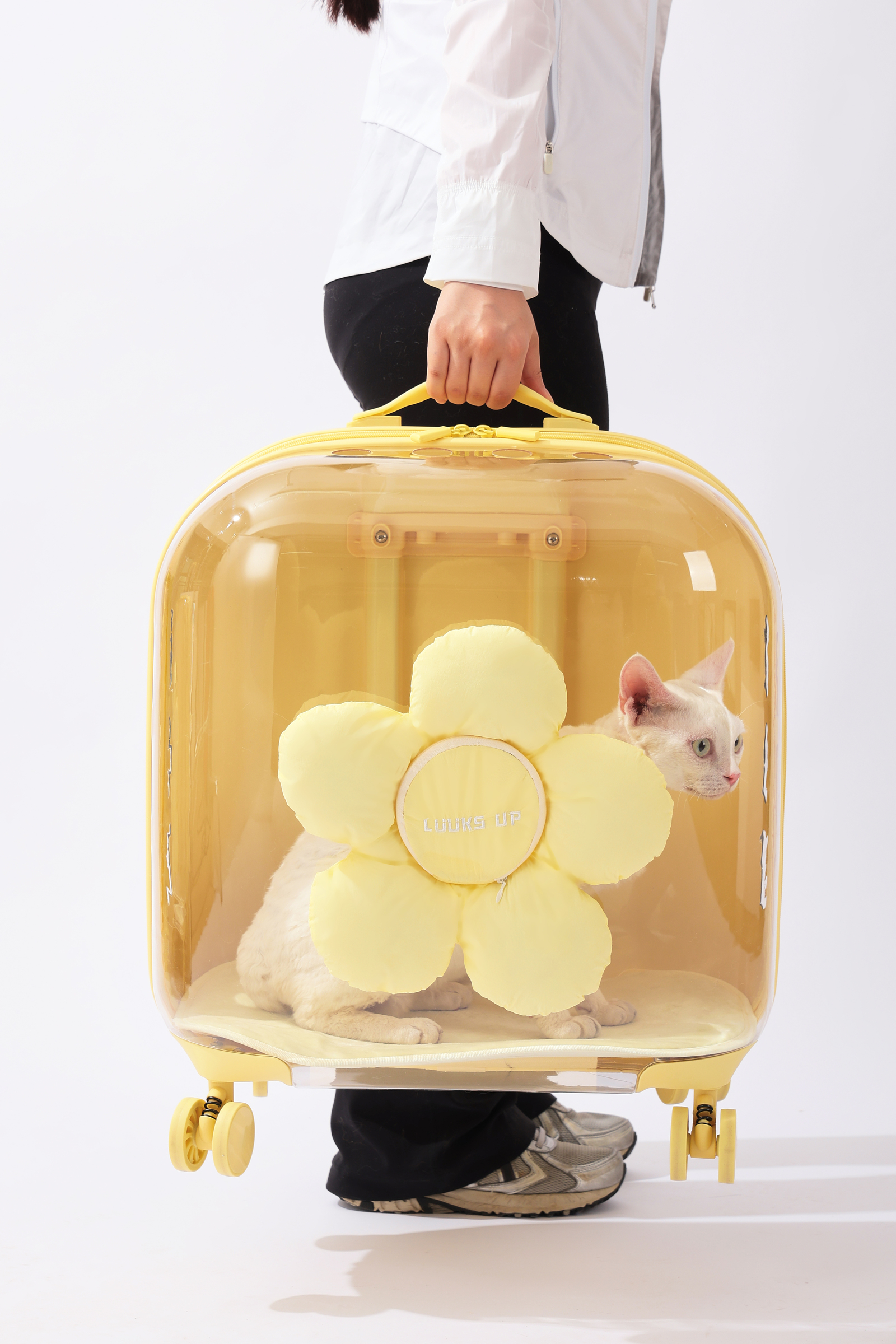 16.LUUKS UP_722960G_Carrier_Flora roller pet travel bag_Yellow_indoor with cat_VER_CMYK