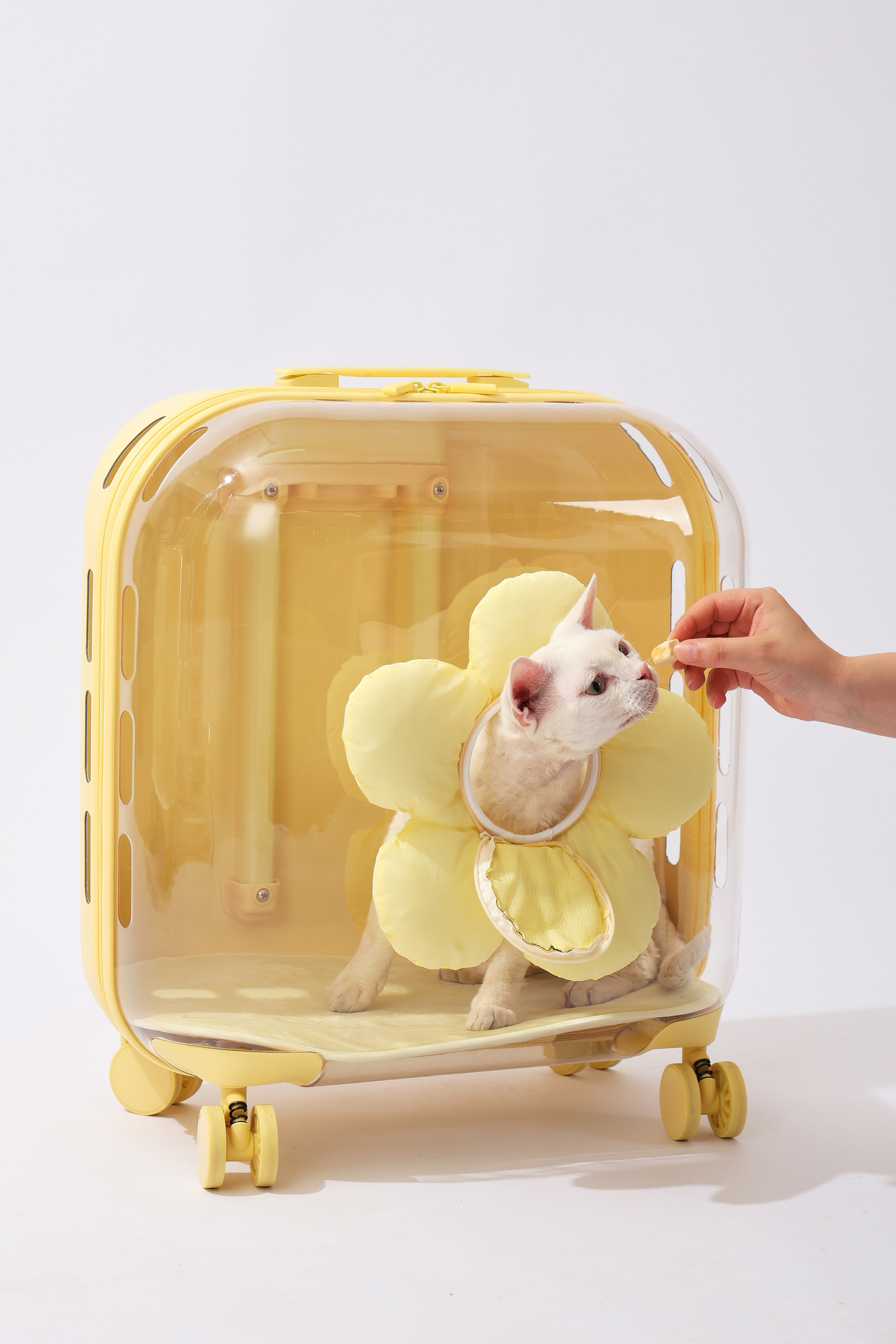 17.LUUKS UP_722960G_Carrier_Flora roller pet travel bag_Yellow_indoor with cat_VER_CMYK