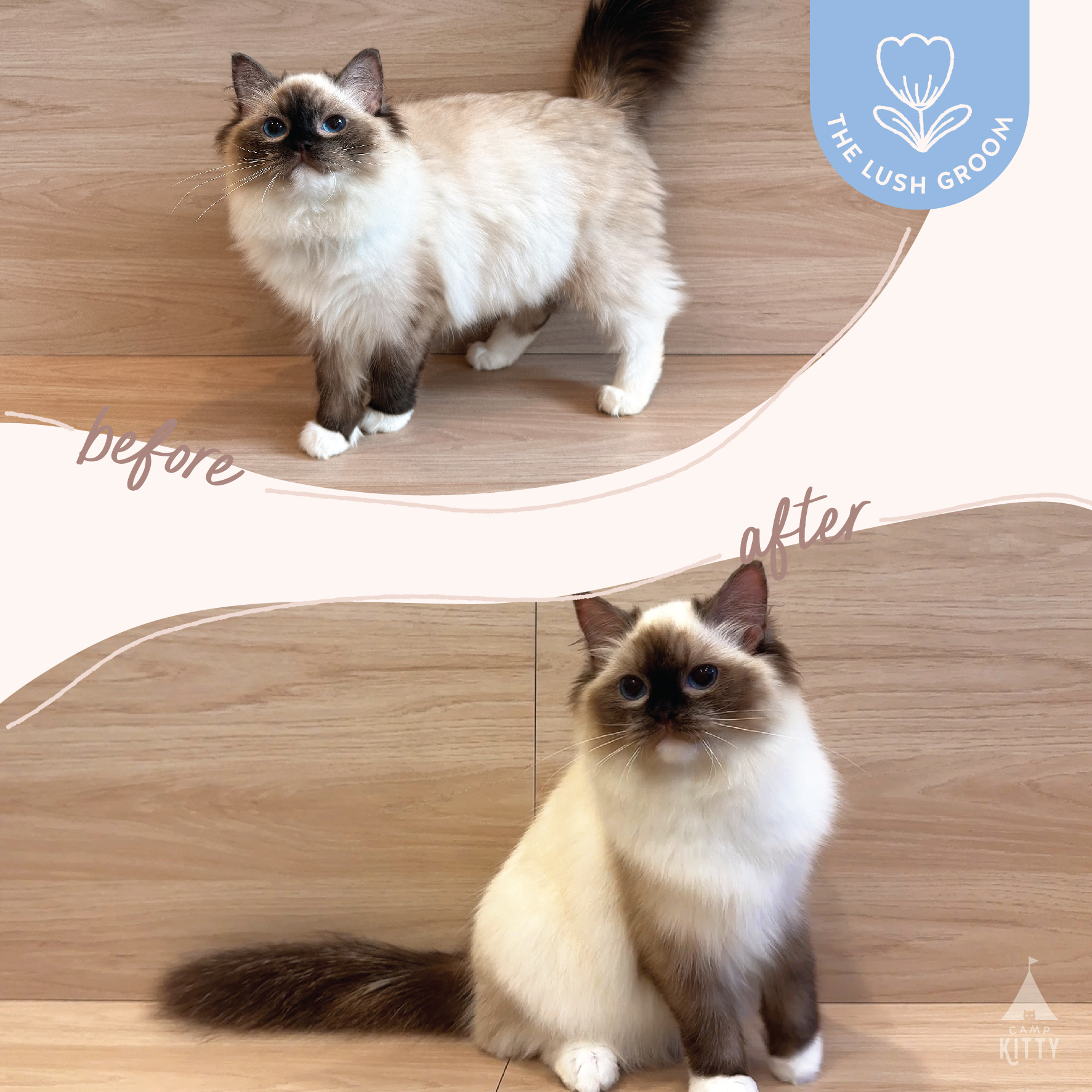 Before After Photos-15
