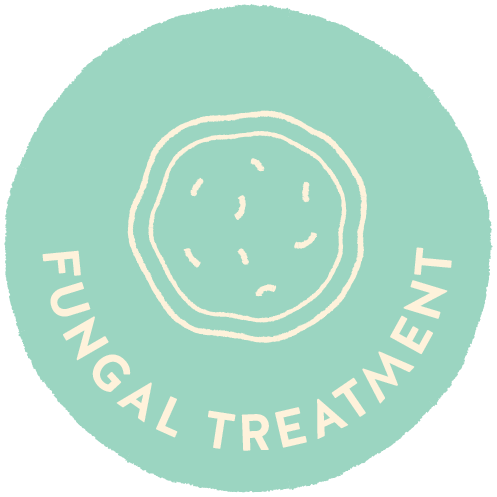 PNG Icon for Videos-07