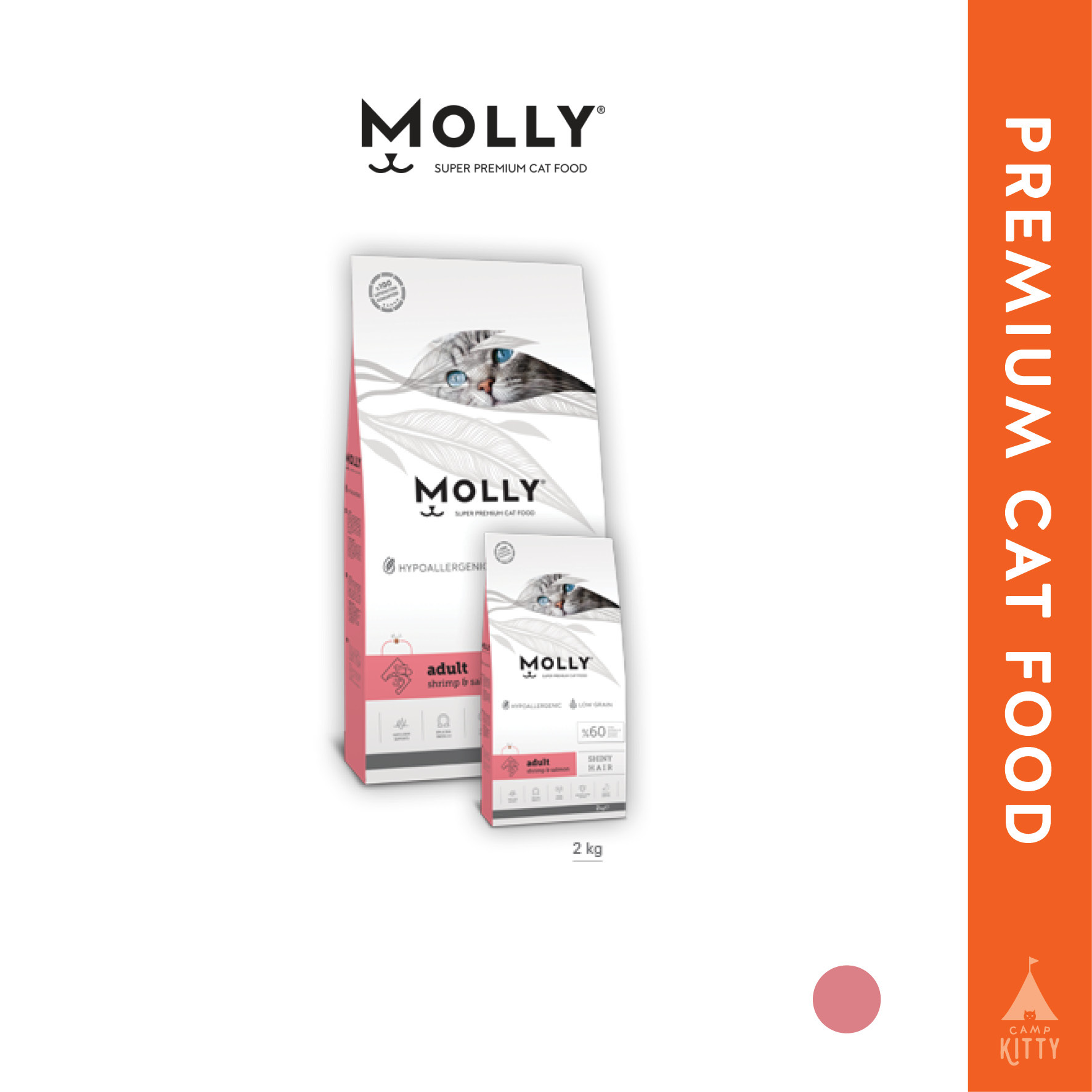 molly6