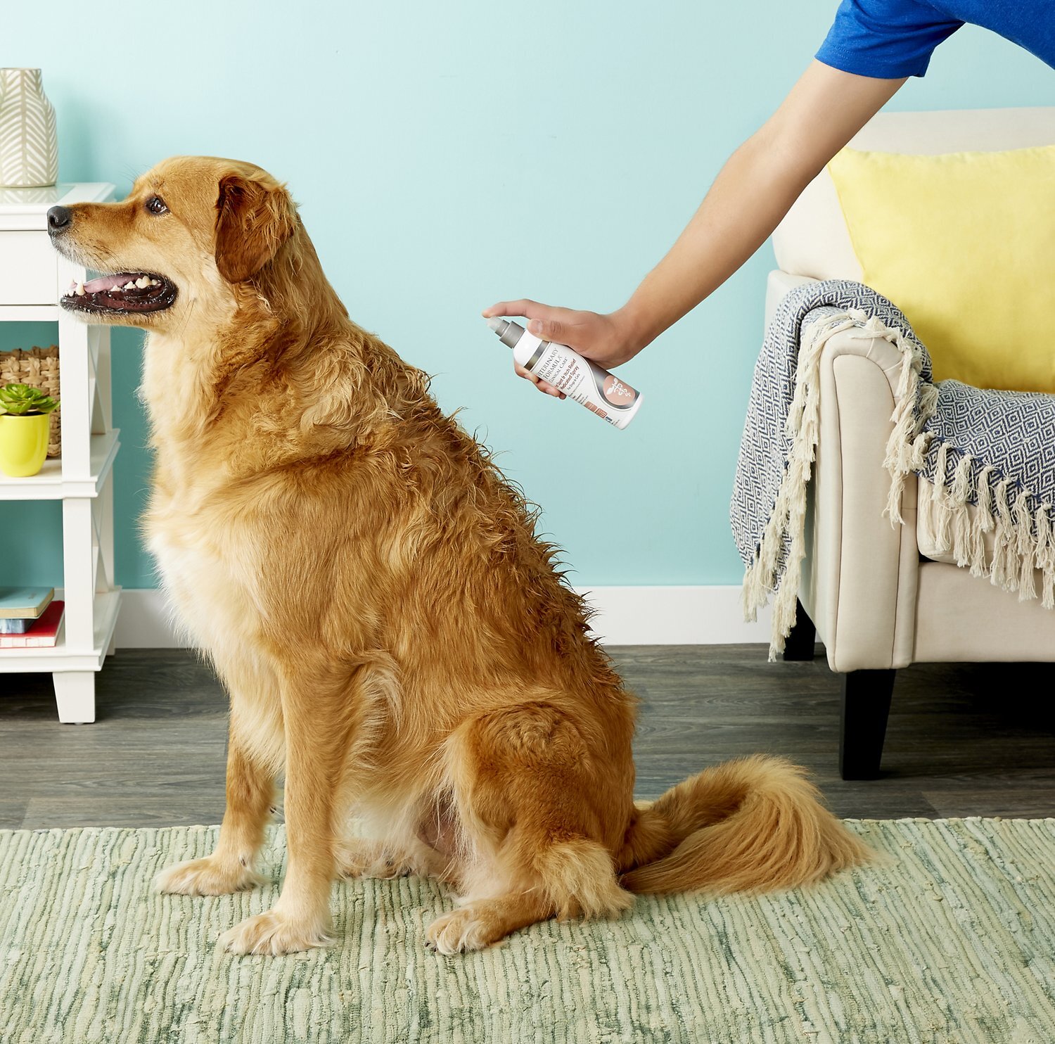 58536_PT4._AC_SL1500_V1535663910_