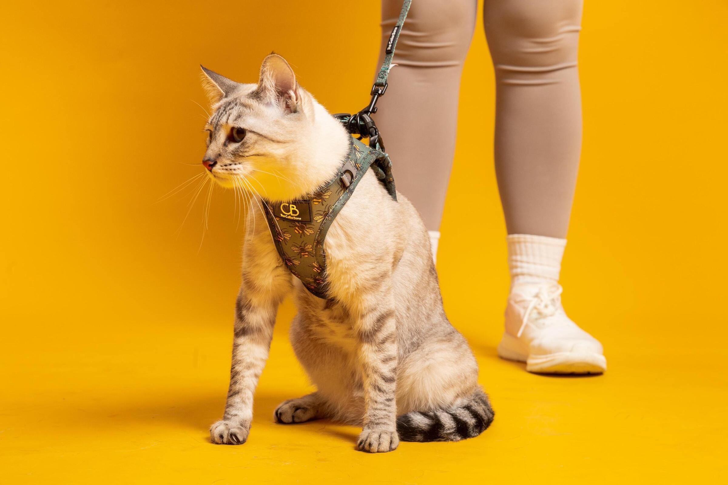 WhatsApp Image 2025-06-05 at 10.44.36 PM