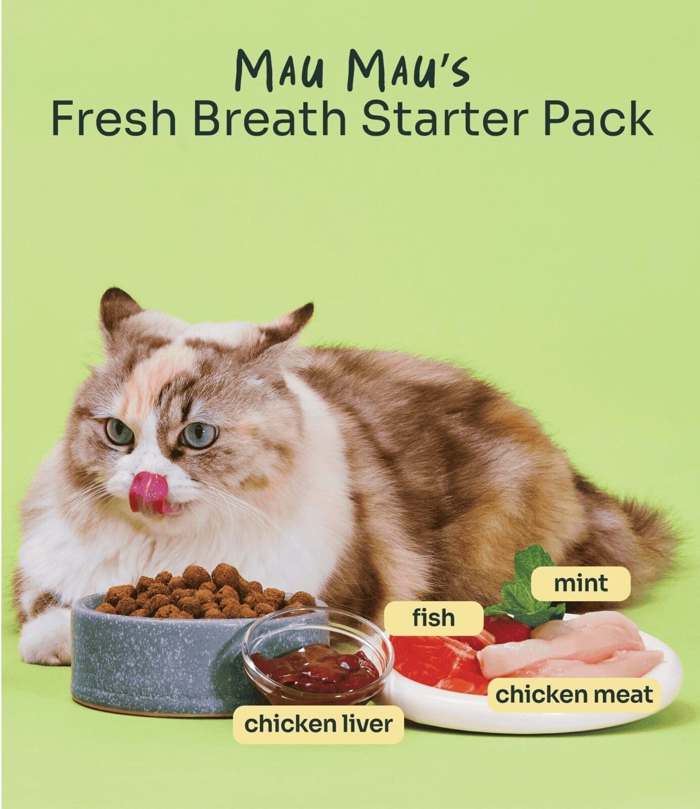 Notti_mau-mau-plaque-control-dental-crunch-for-cats-10