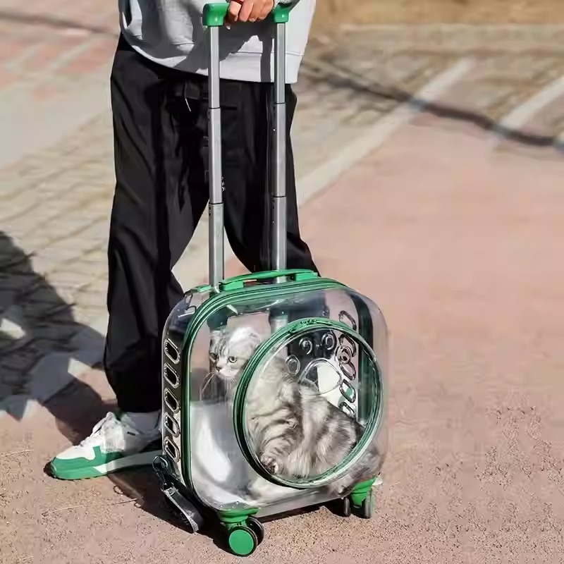 imgi_4_O1CN01ng6Rfh1uc9mpvQssX_!!2212413136057.jpg_q50.jpg_